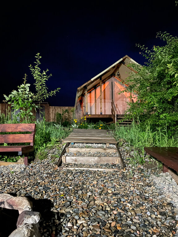 Фото Стрижи