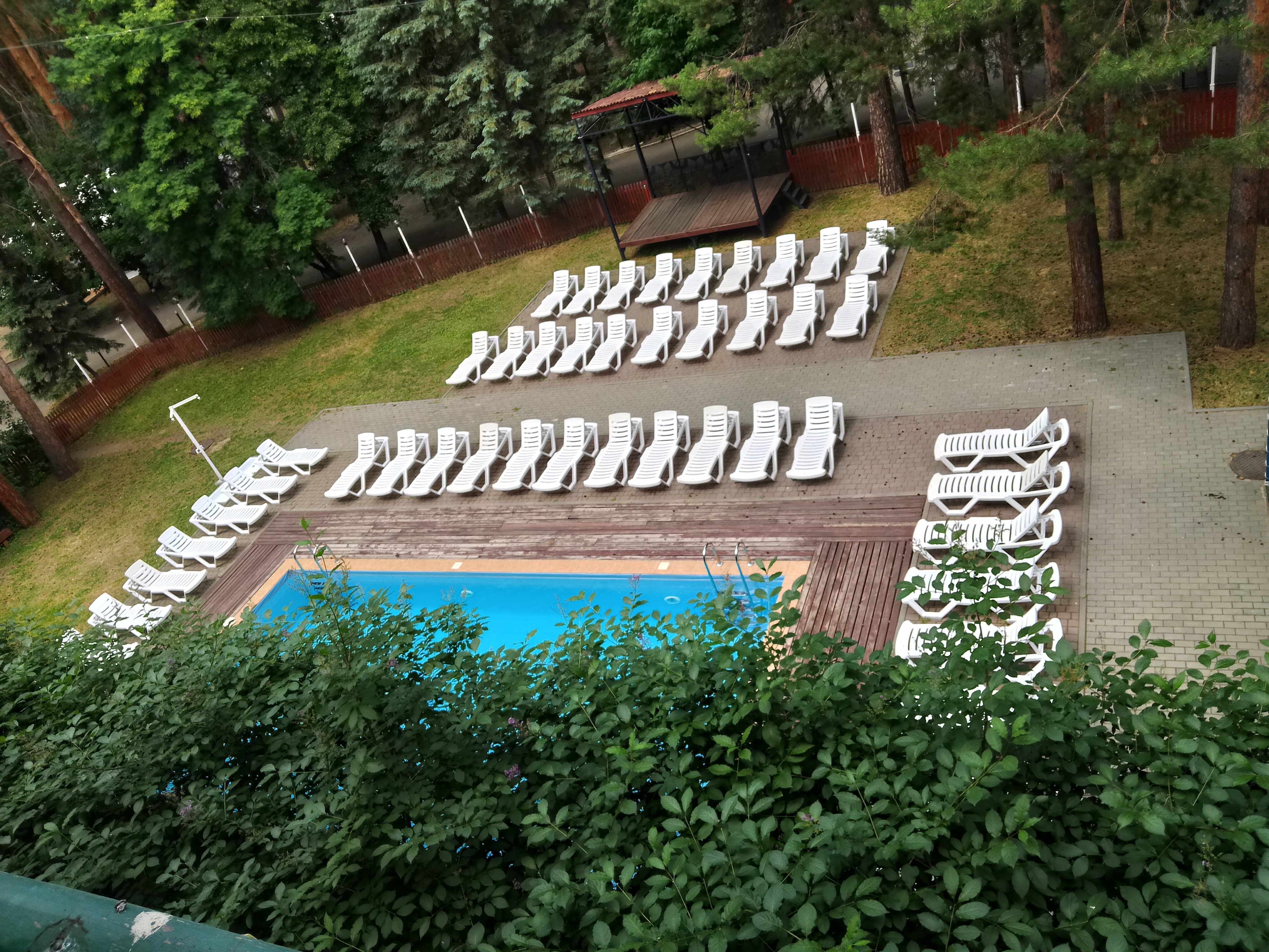 Фото Лесные дали