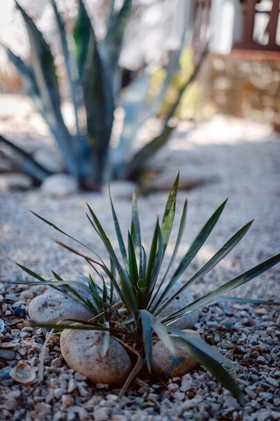 Фото Отель-курорт Бригантина