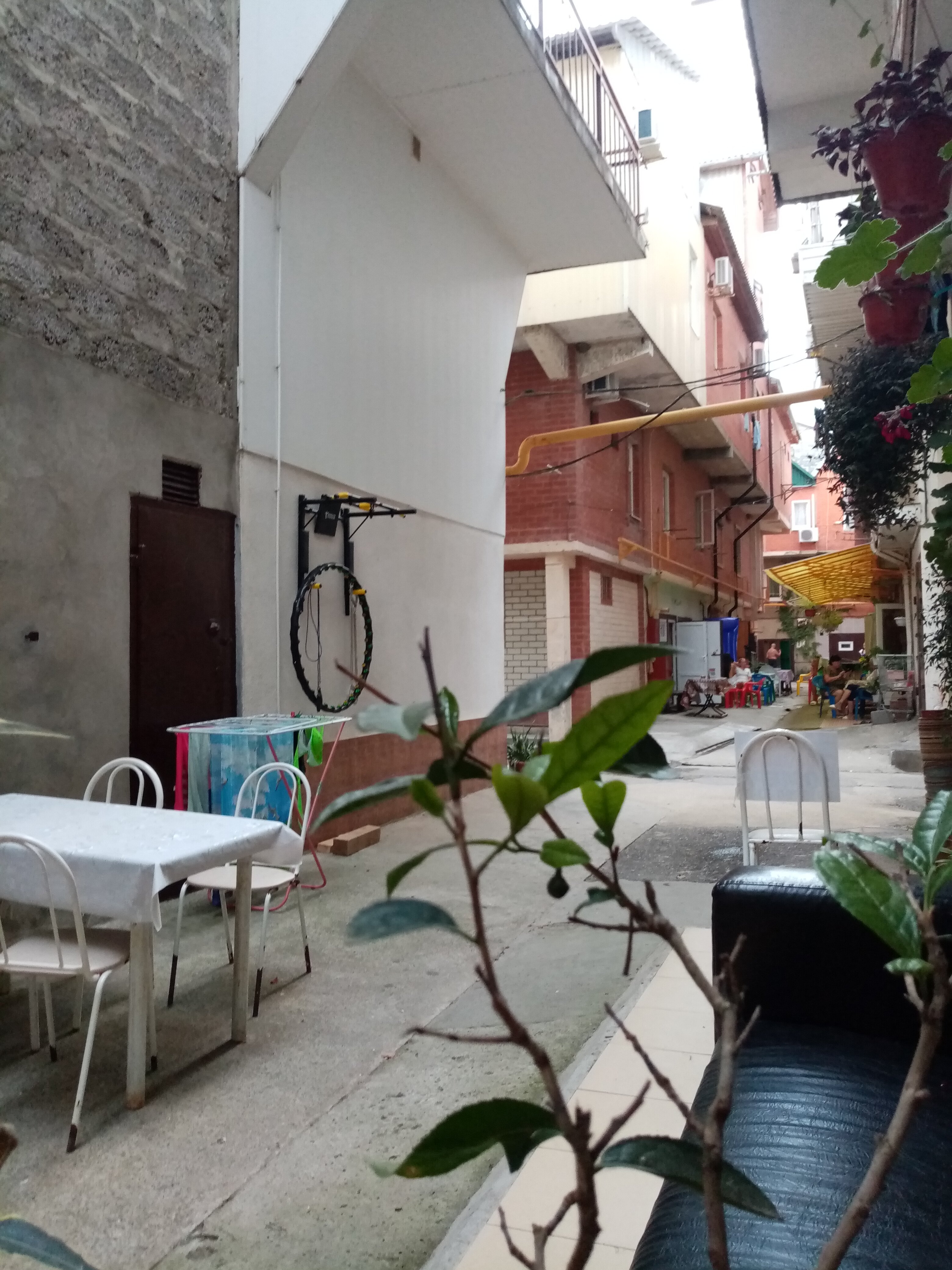 Фото Эллинг 80