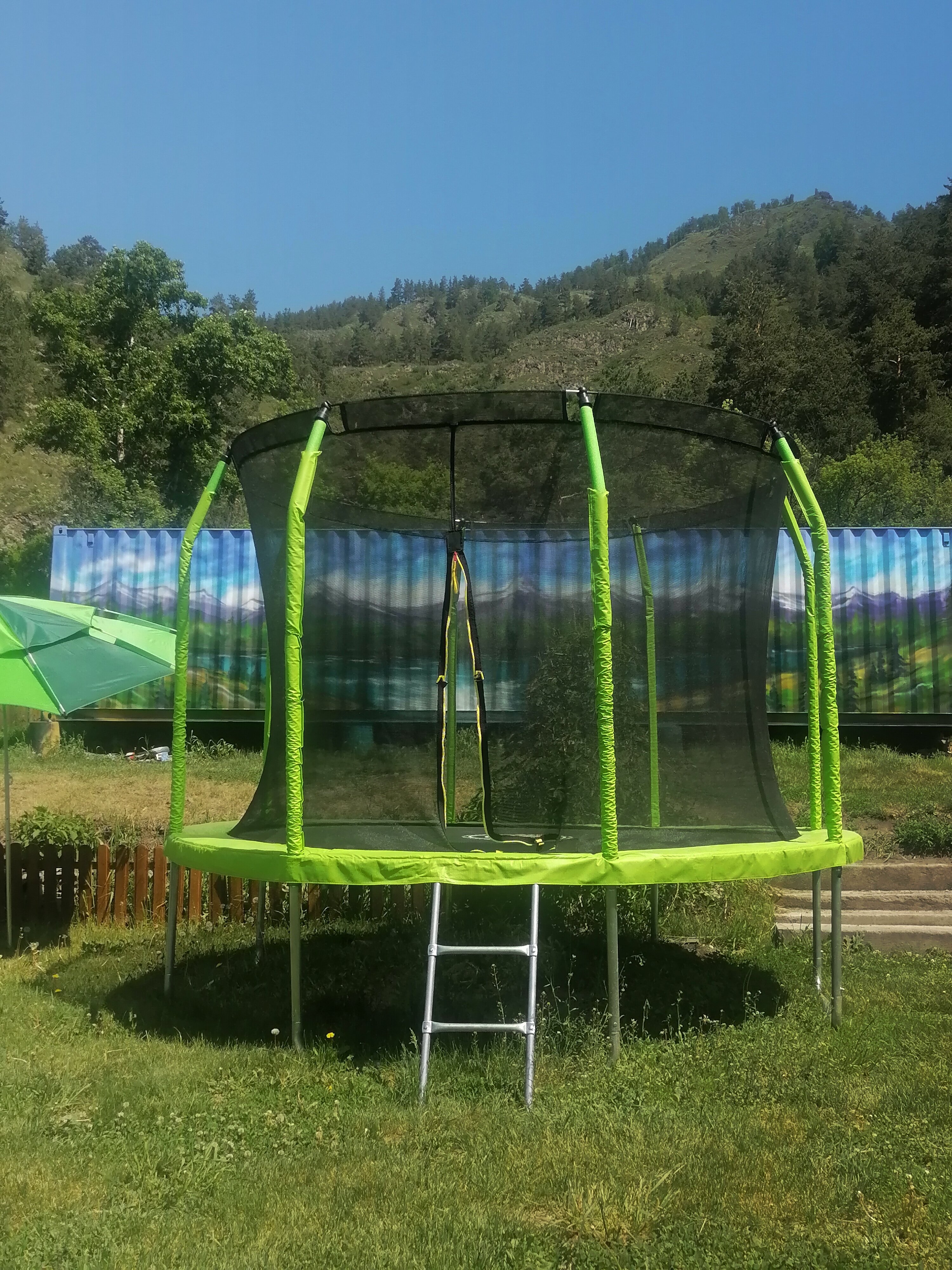 Фото Кедровый бочонок