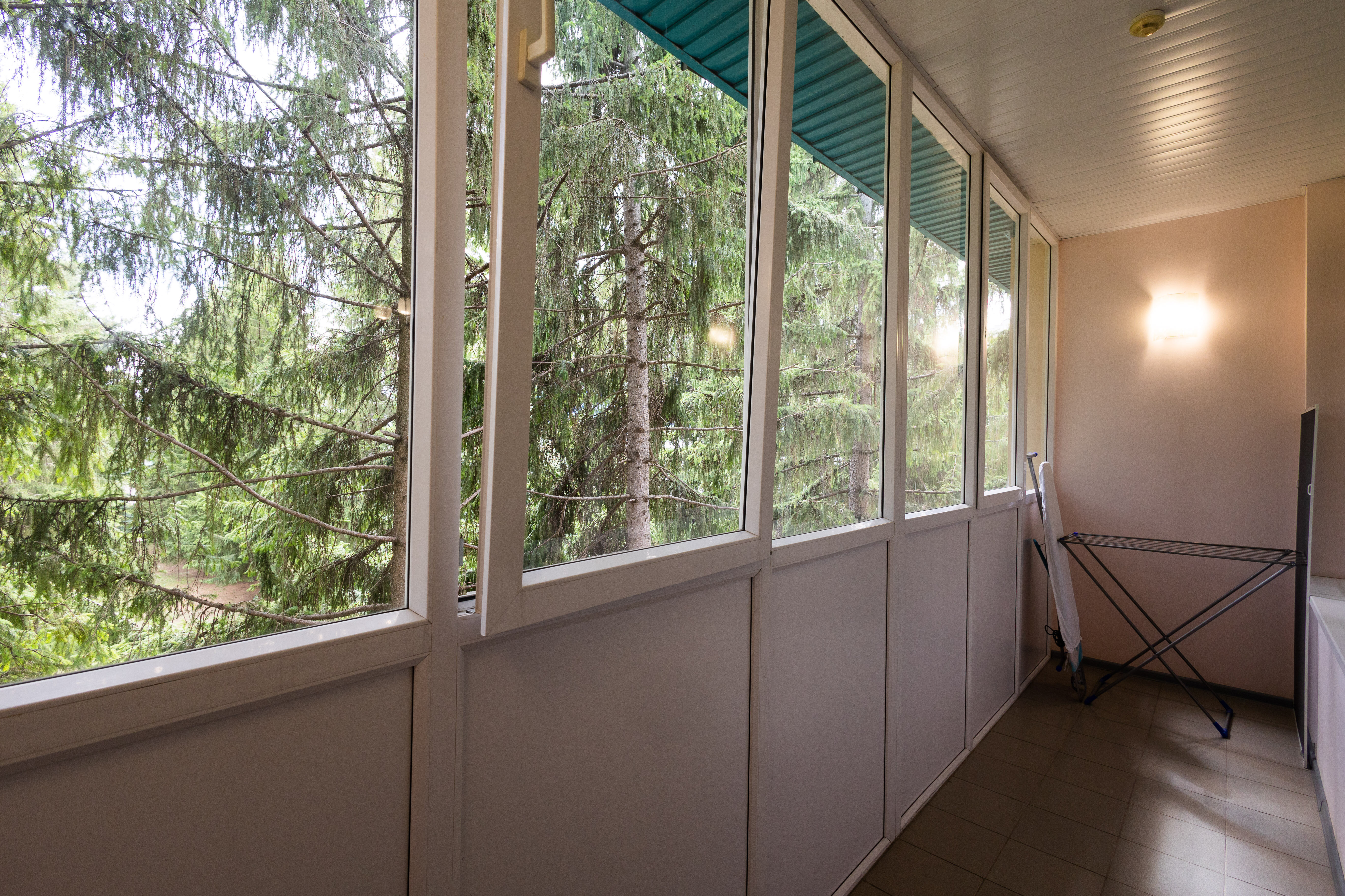 Фото Зеленая Роща