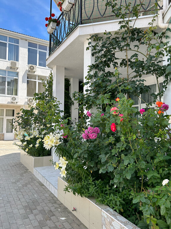 Фото Эллинг Аква