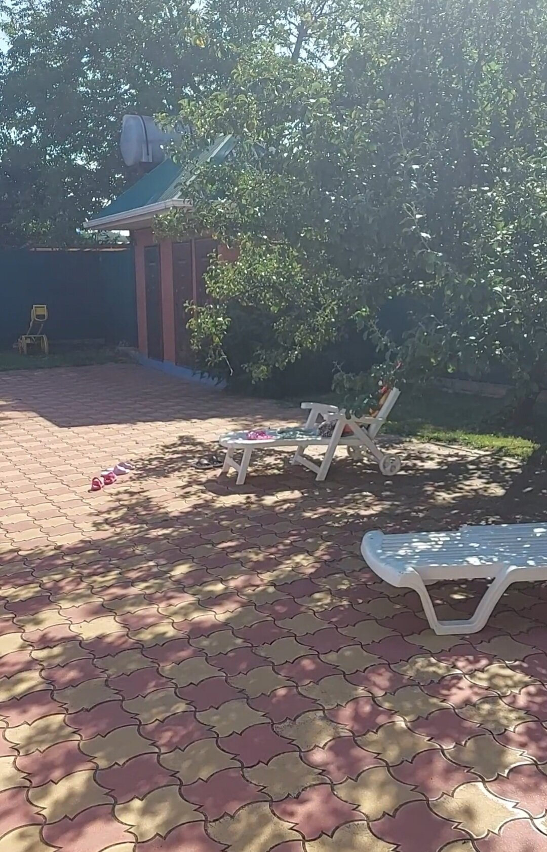 Фото Виктори