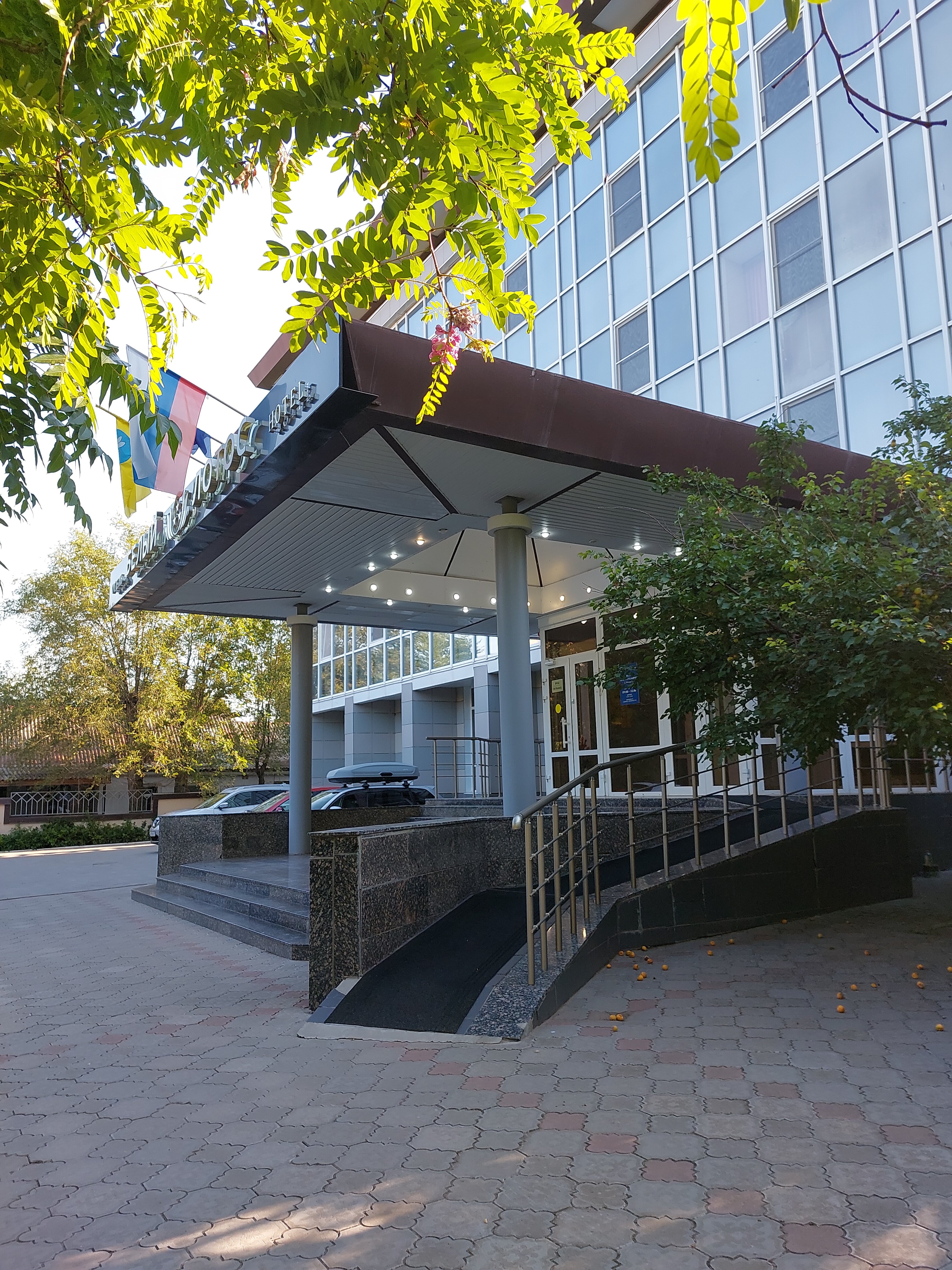 Фото Белый лотос