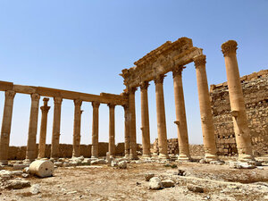 Развалины античной Пальмиры (мухафаза Хомс, Пальмира, Пальмира), достопримечательность в Пальмире