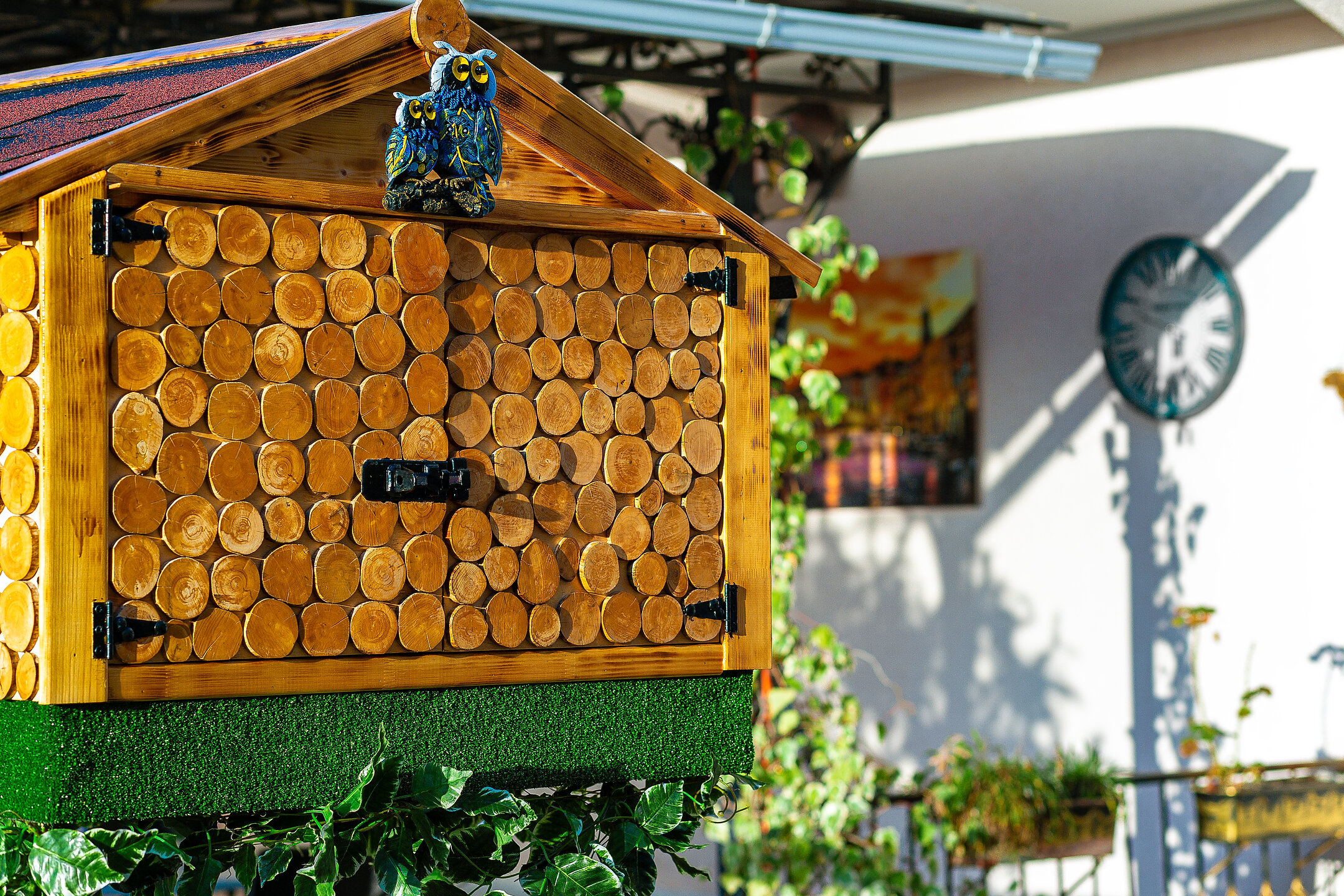 Фото Платан