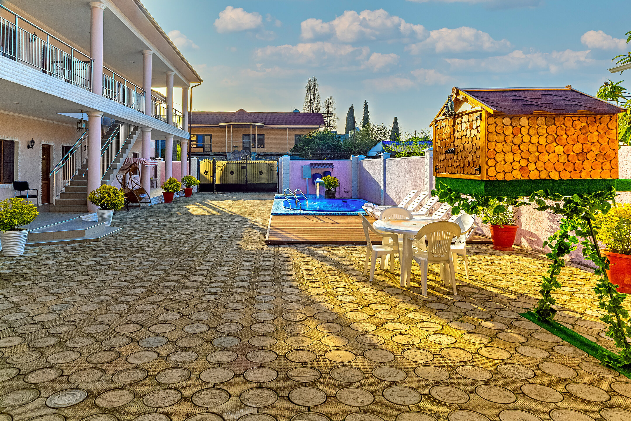 Фото Платан