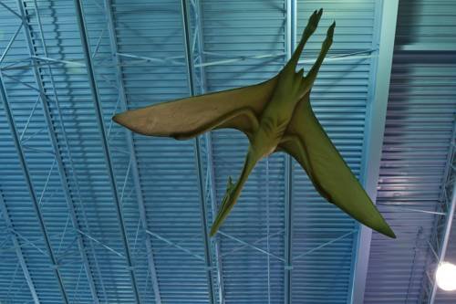 Фото Victoria Inn Hotel and Convention Centre Winnipeg