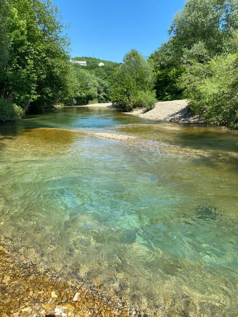Фото Дом на поляне
