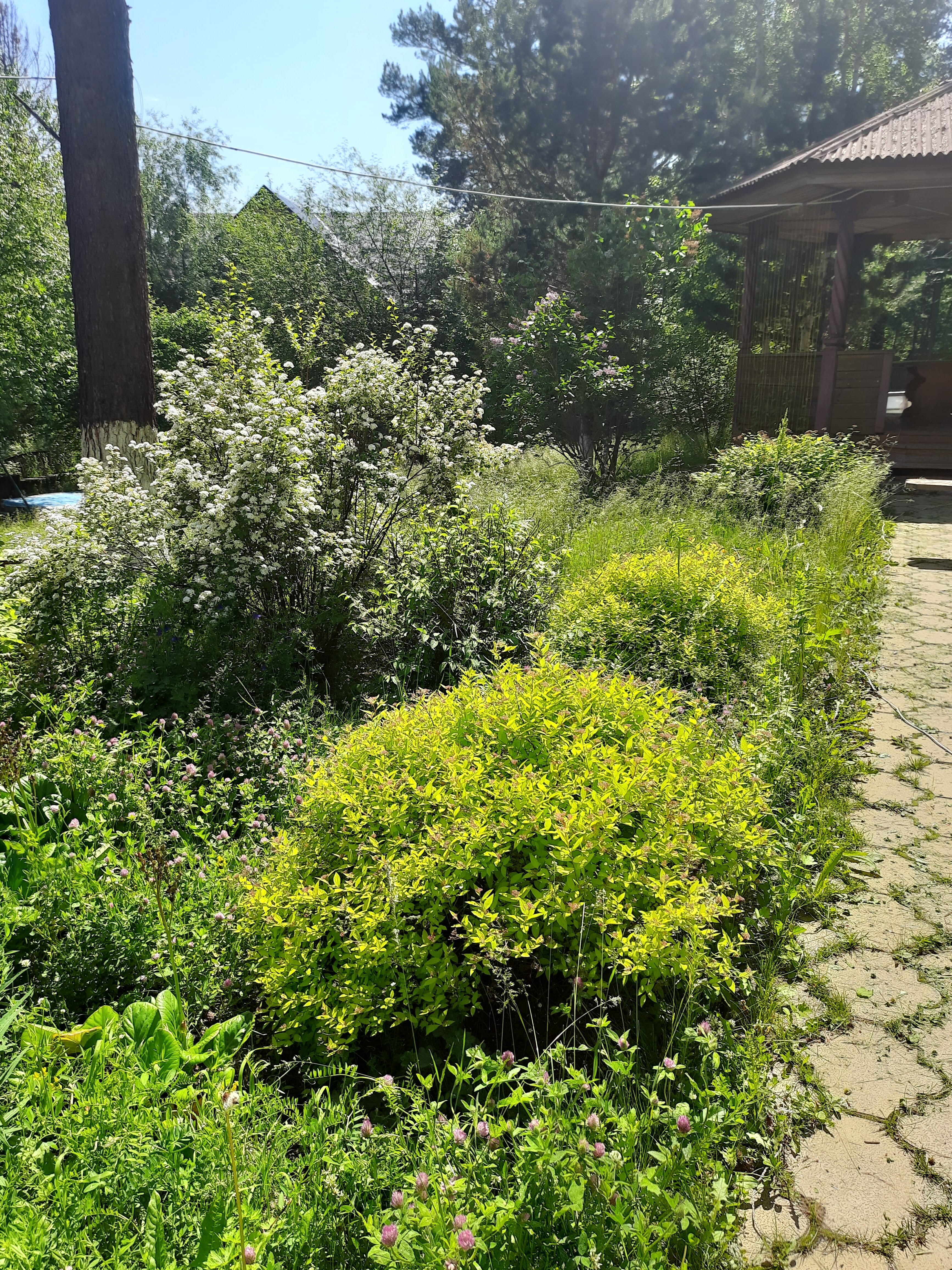 Фото Натали