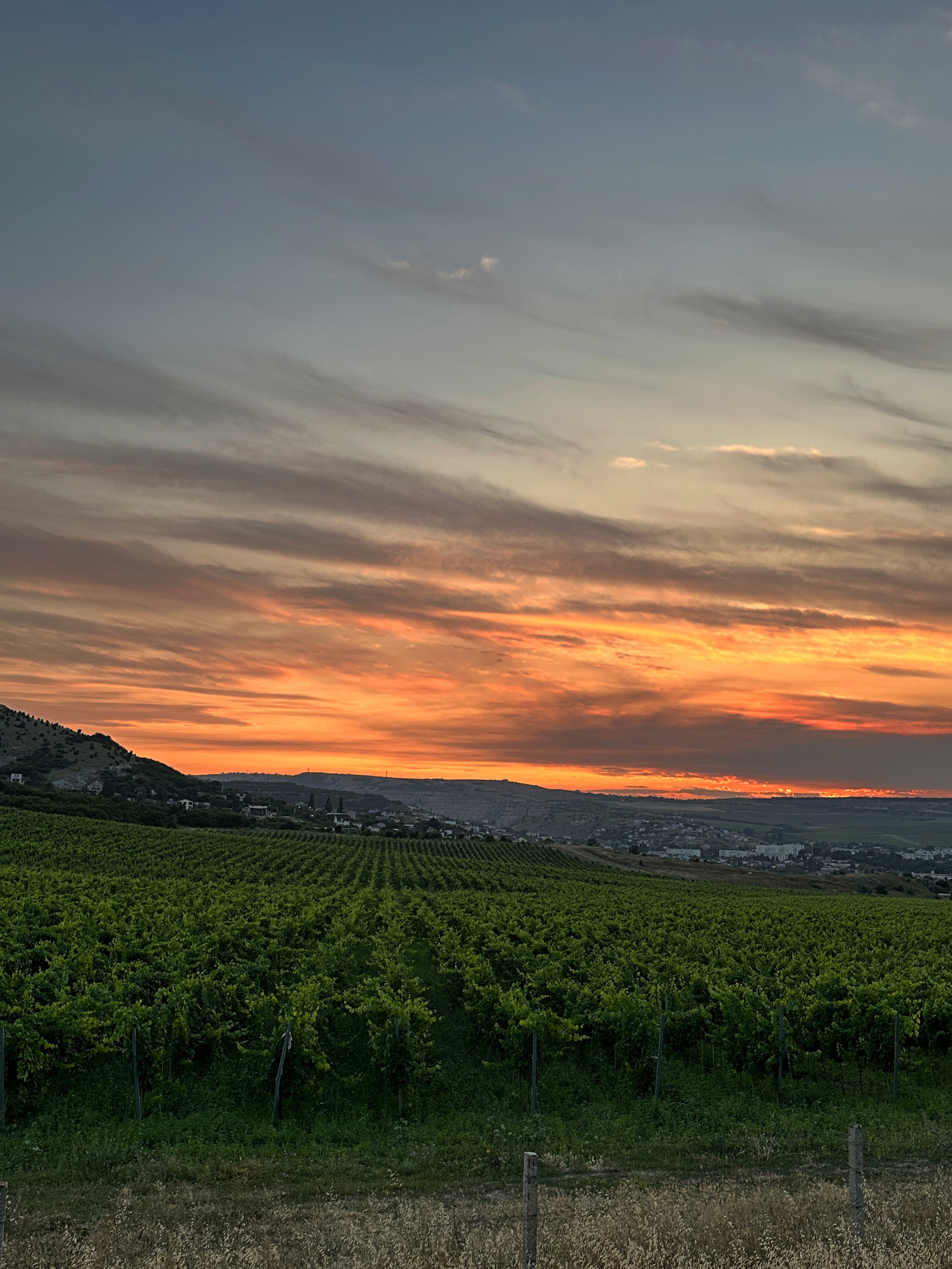 Фото Hello Yurta