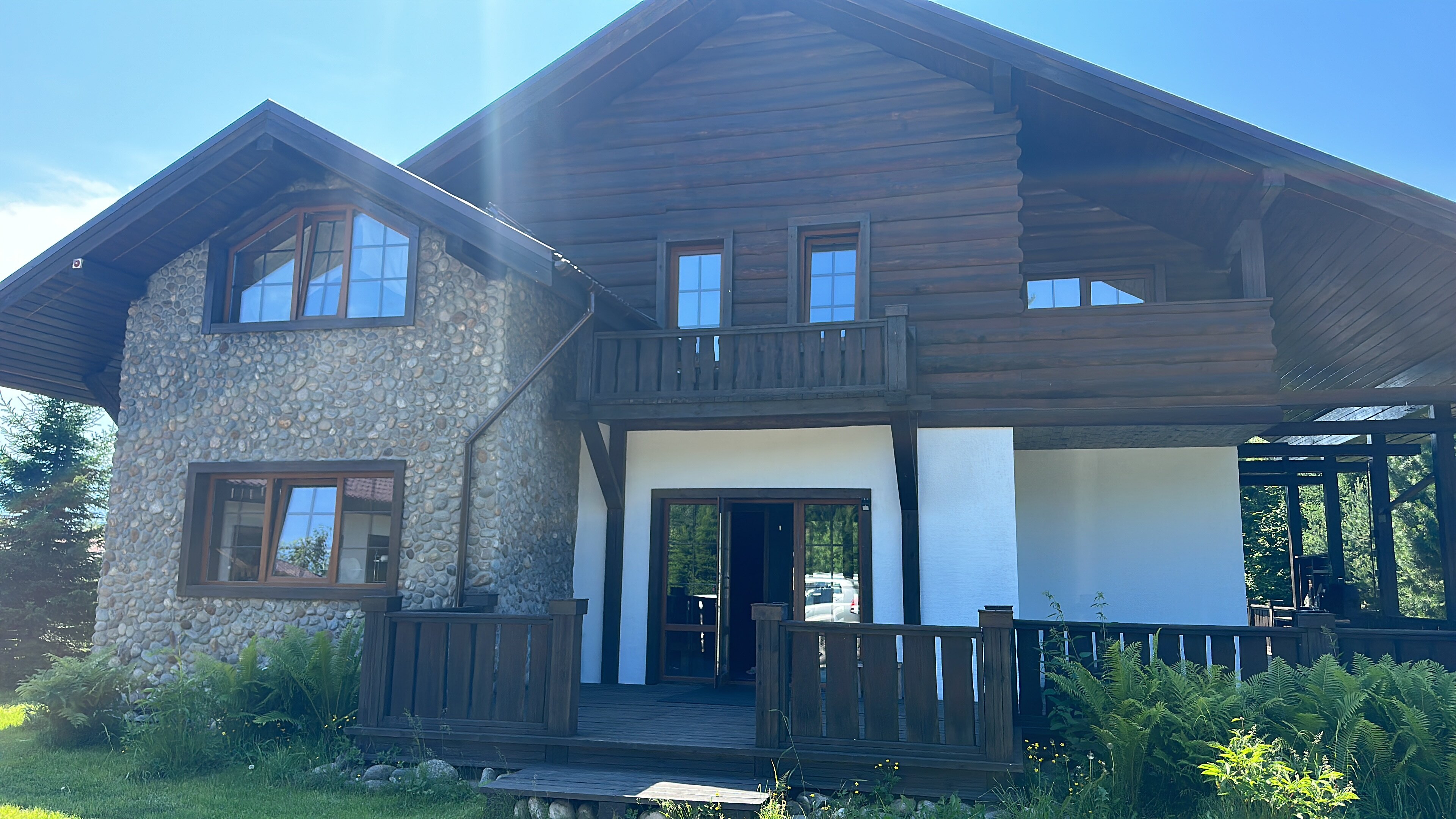 Фото Снежные Гуси