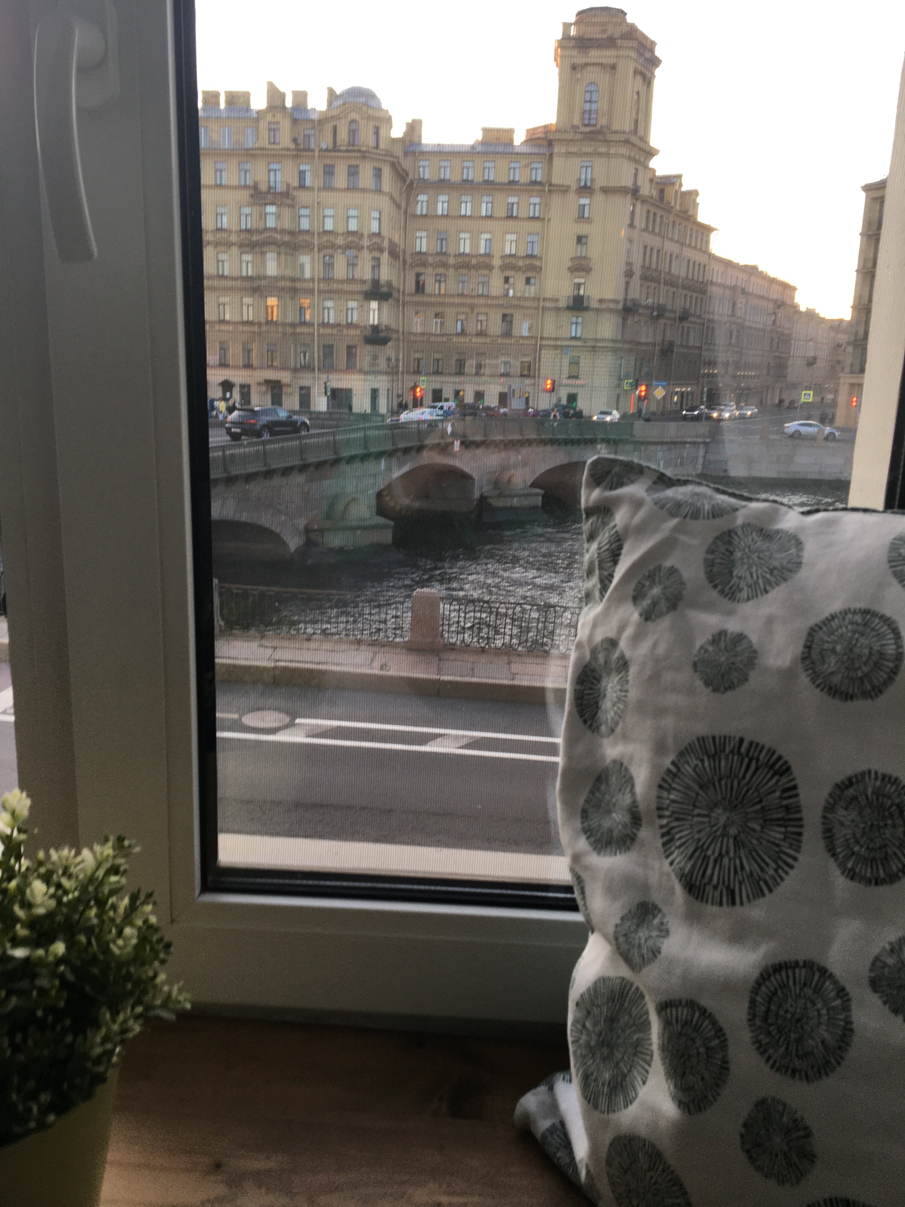 Фото Forever Young