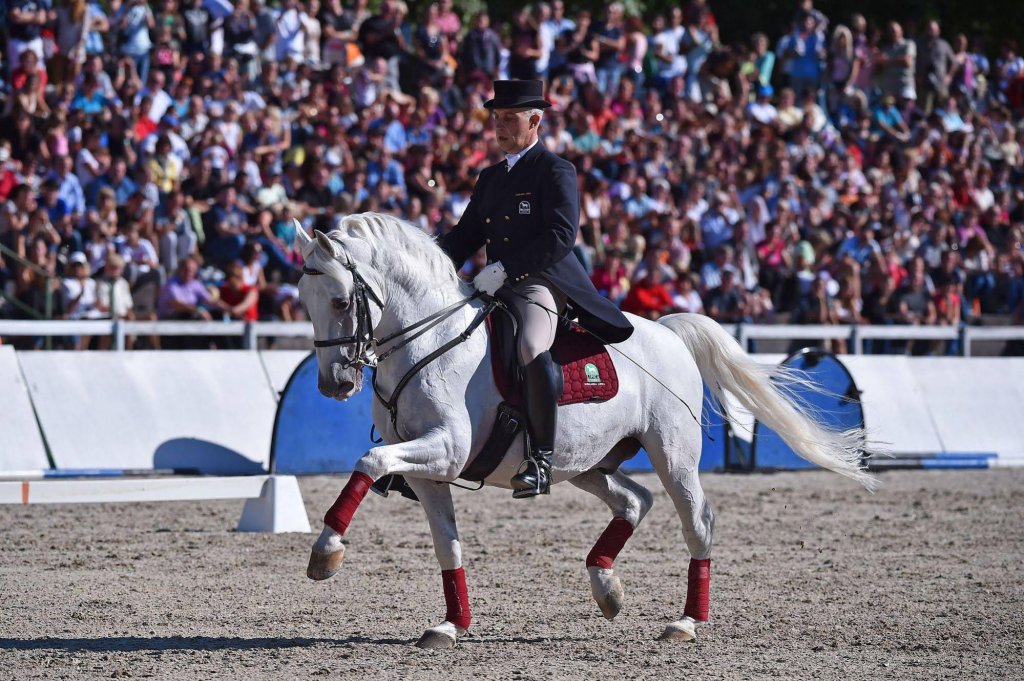 Фото Hotel Maestoso