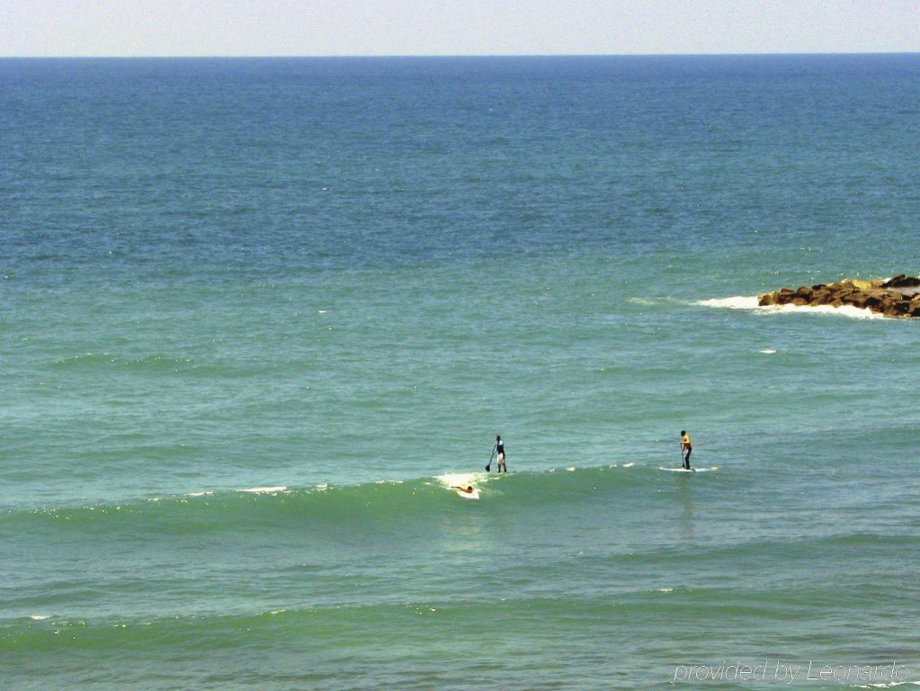 Фото Мелоди