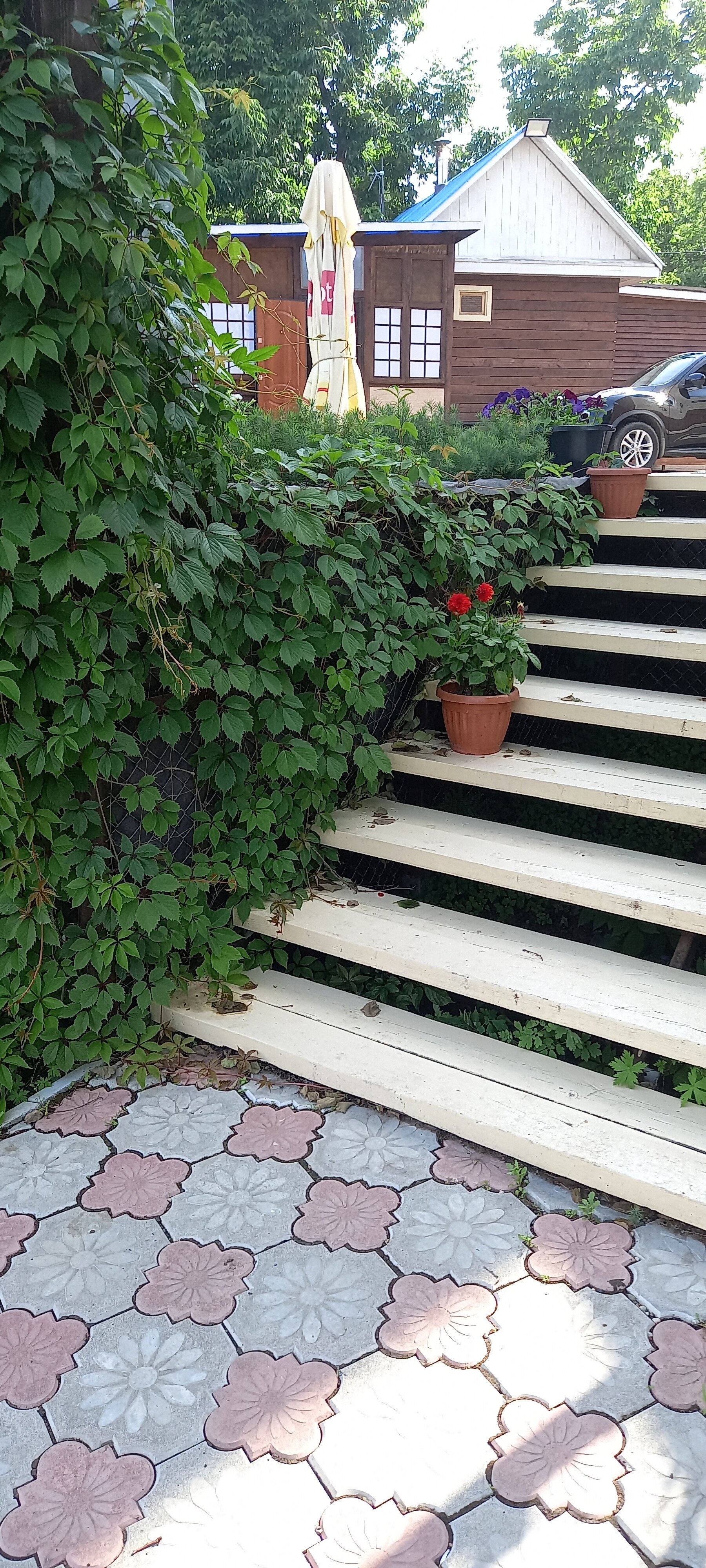 Фото Алые паруса