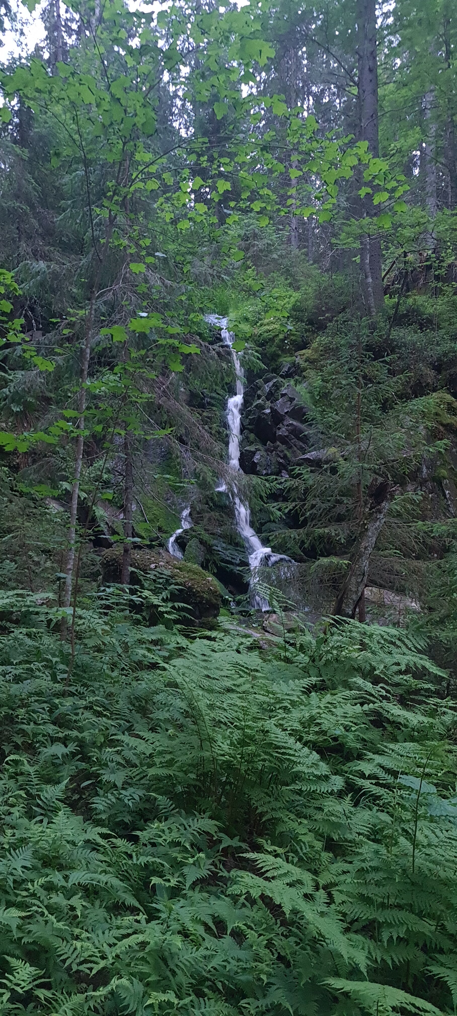 Фото Хутор ЛихKoff