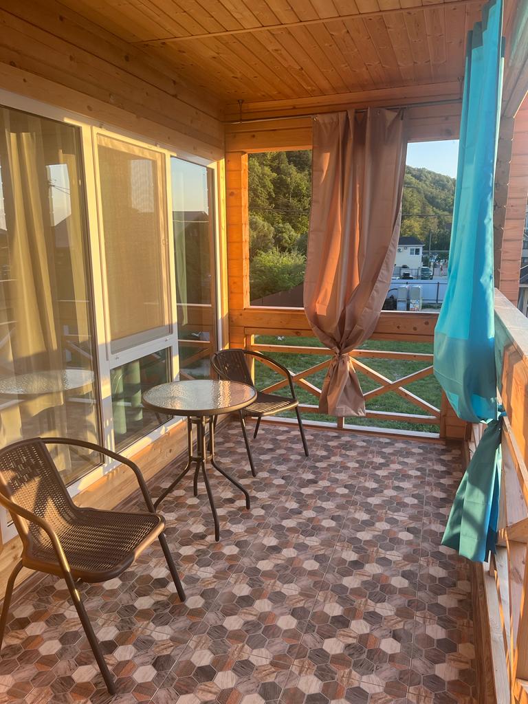 Фото Ежевика