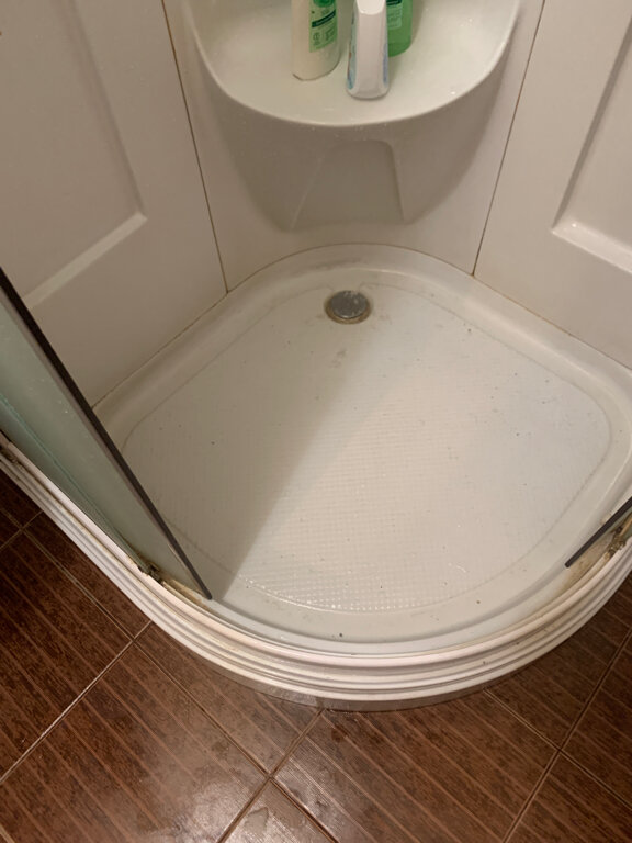 Фото Афалина