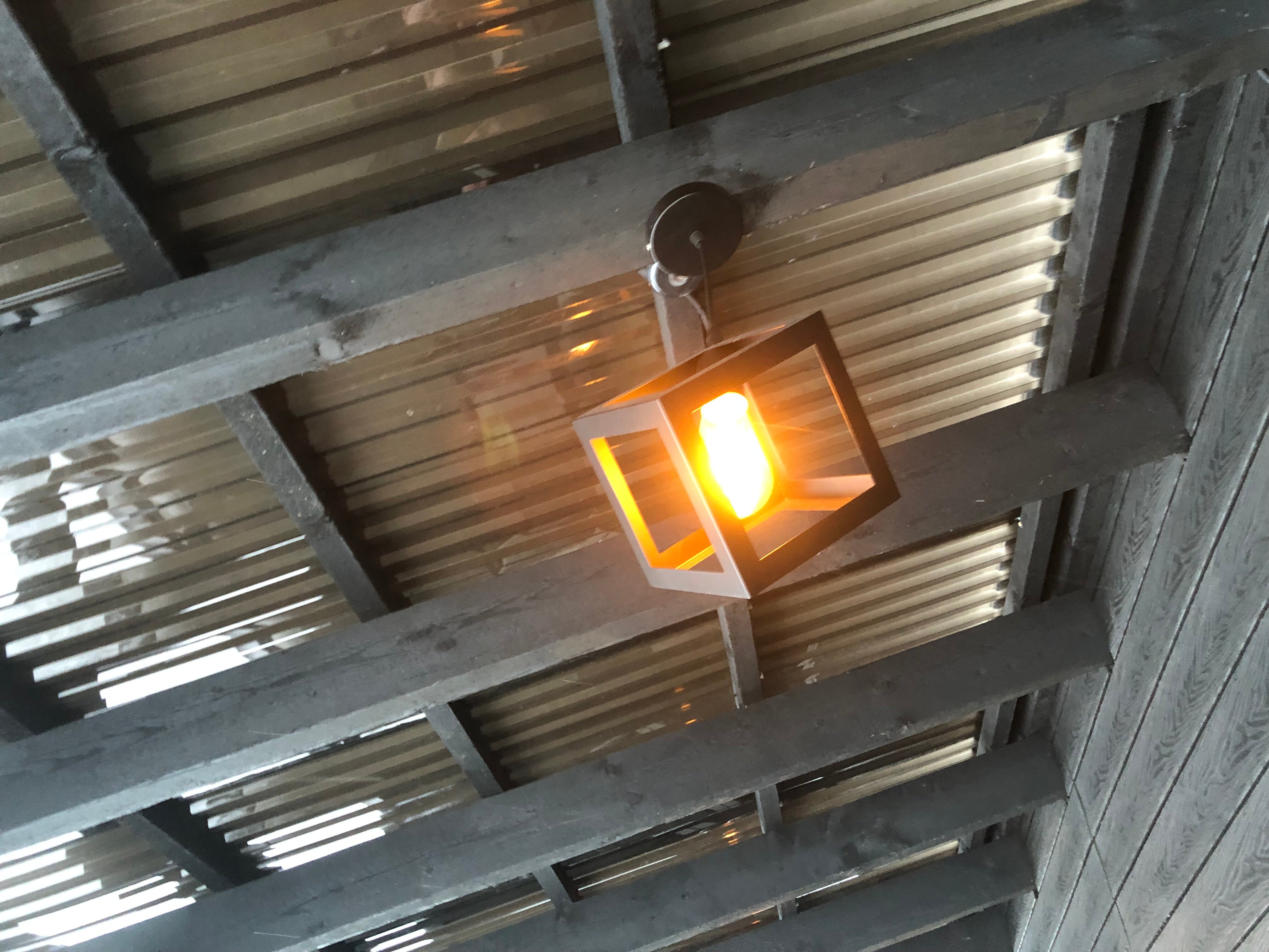 Фото Черная жемчужина