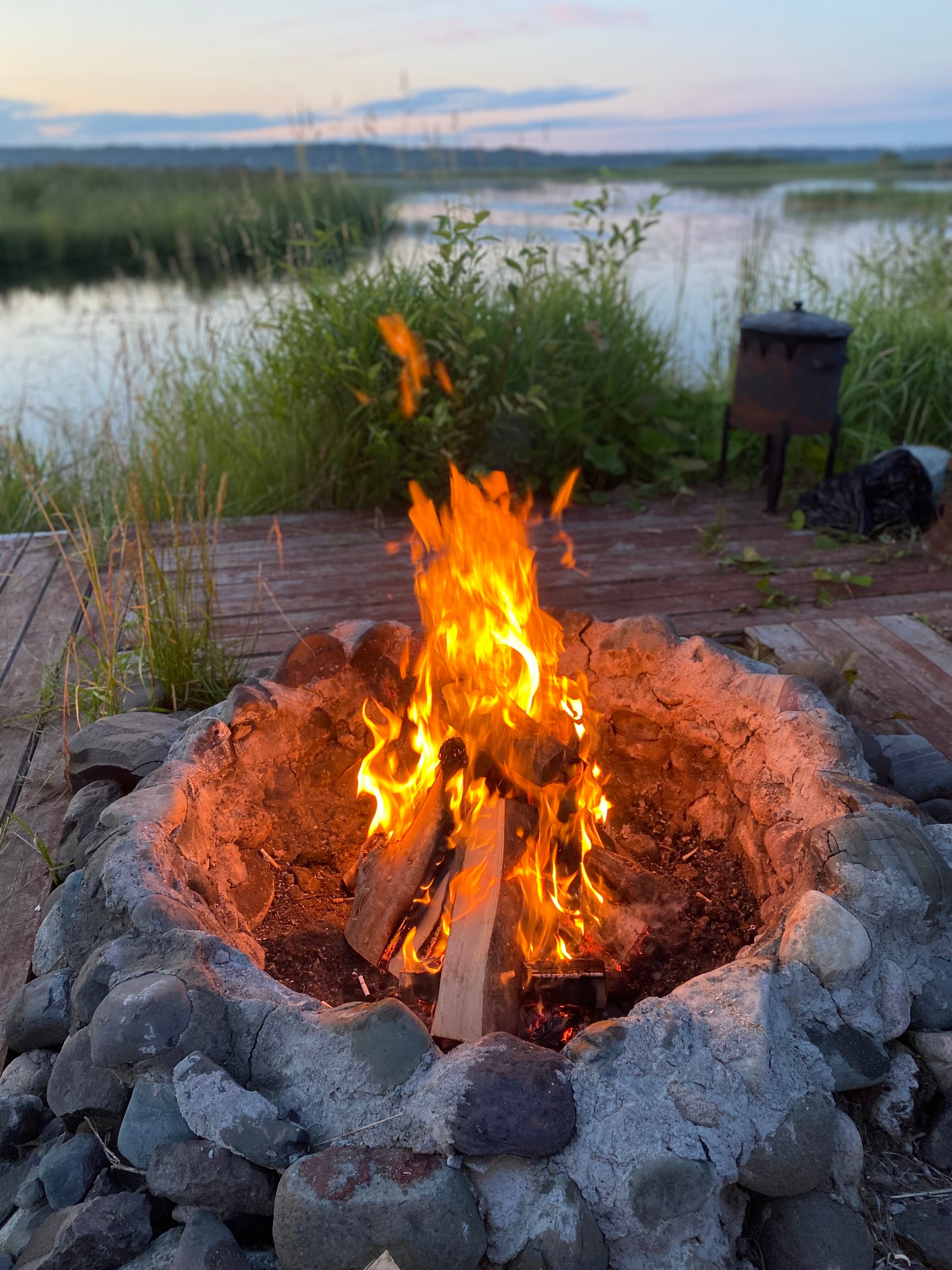 Фото Хитрый Лис