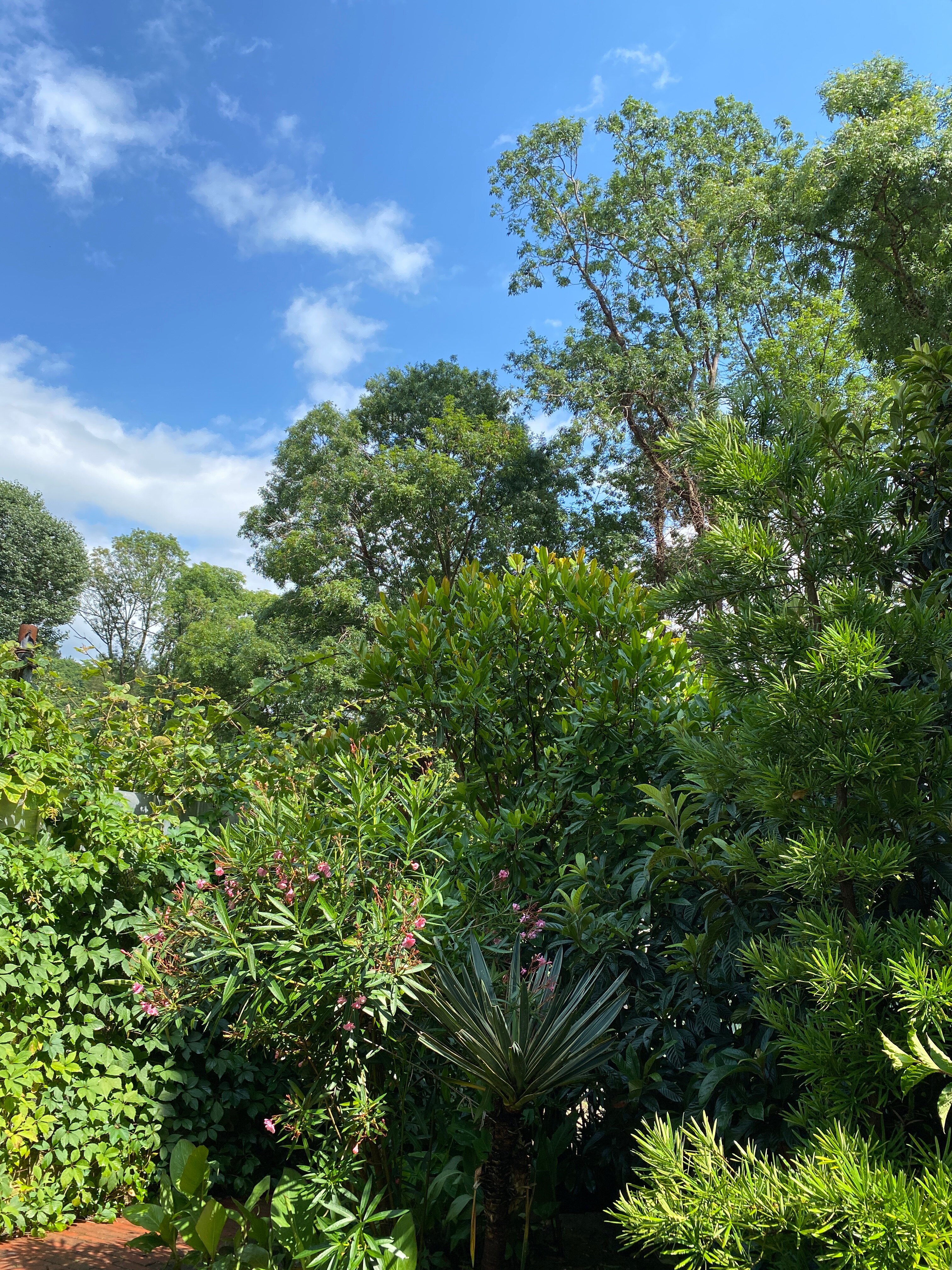 Фото Золотая рыбка