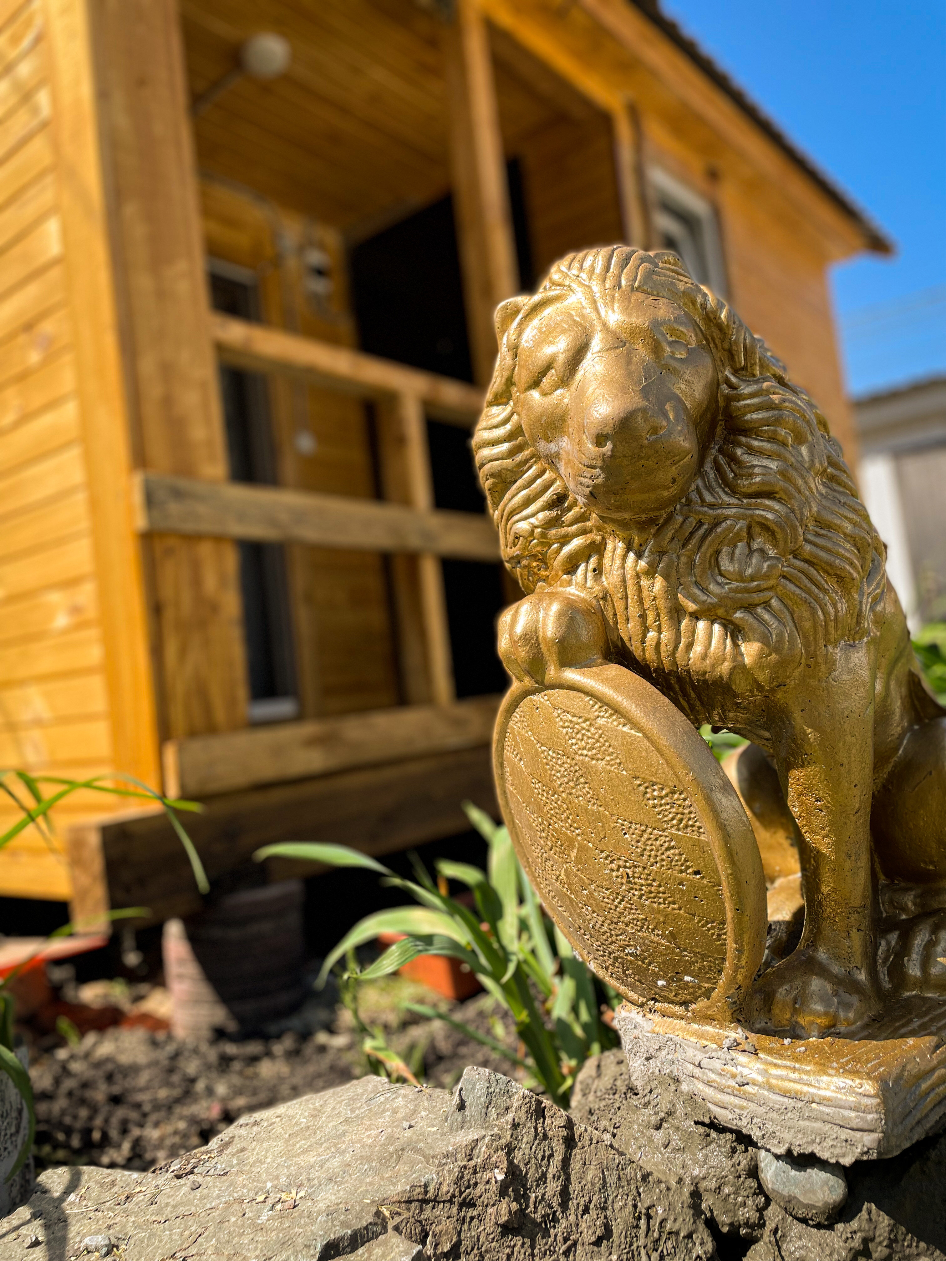 Фото Скала Алтая