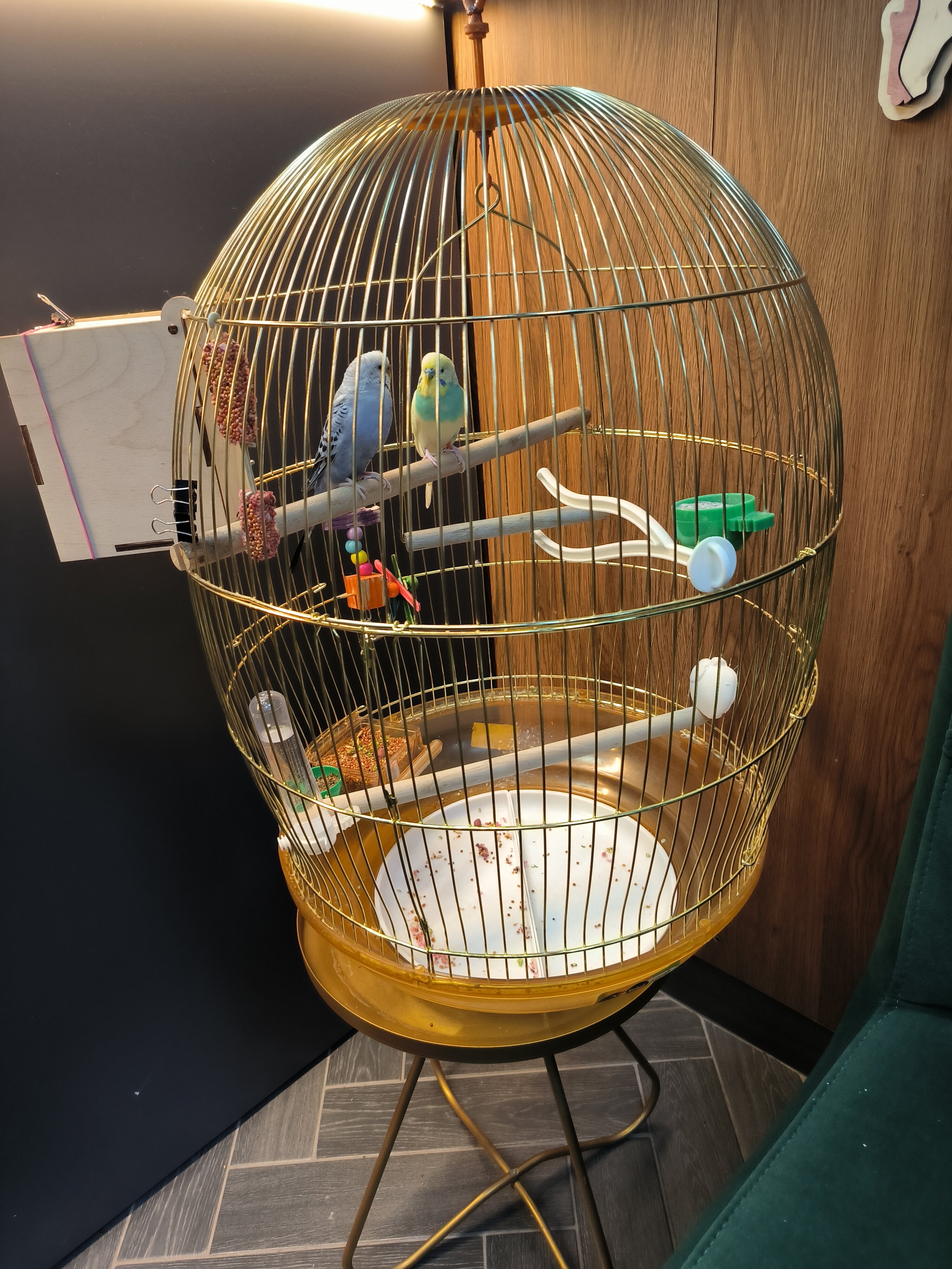 Фото Добролюбов