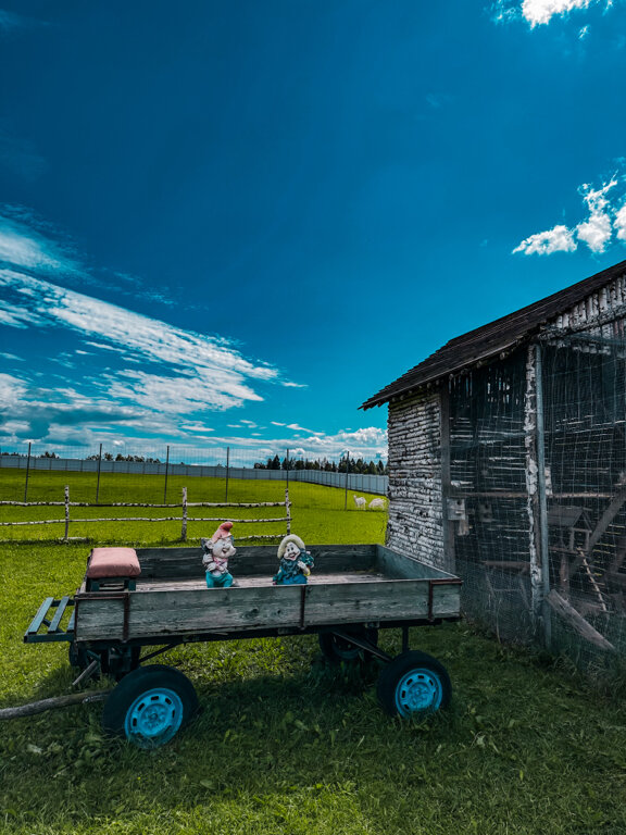 Фото Экоферма Александровский спас