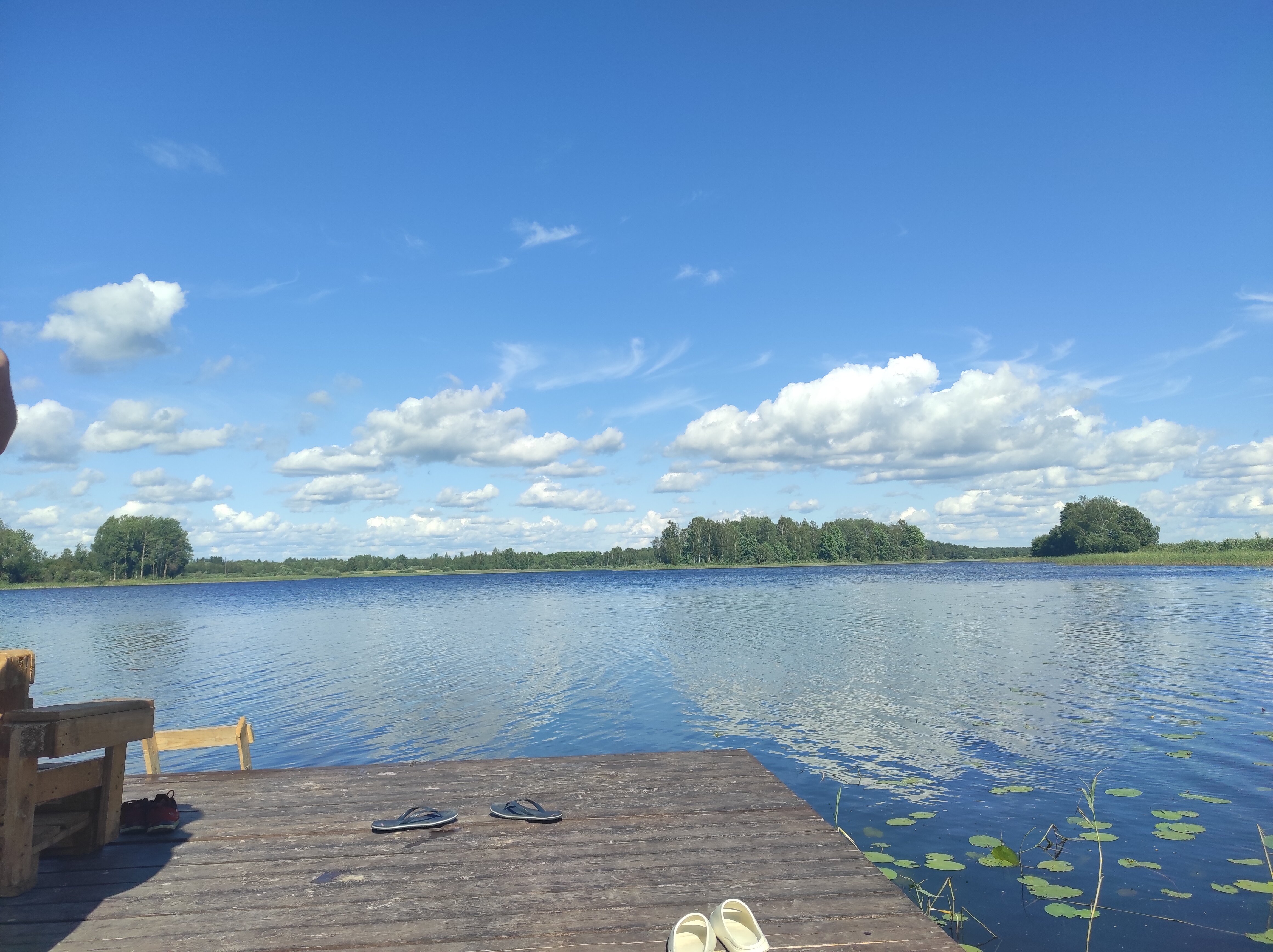 Фото Свобода