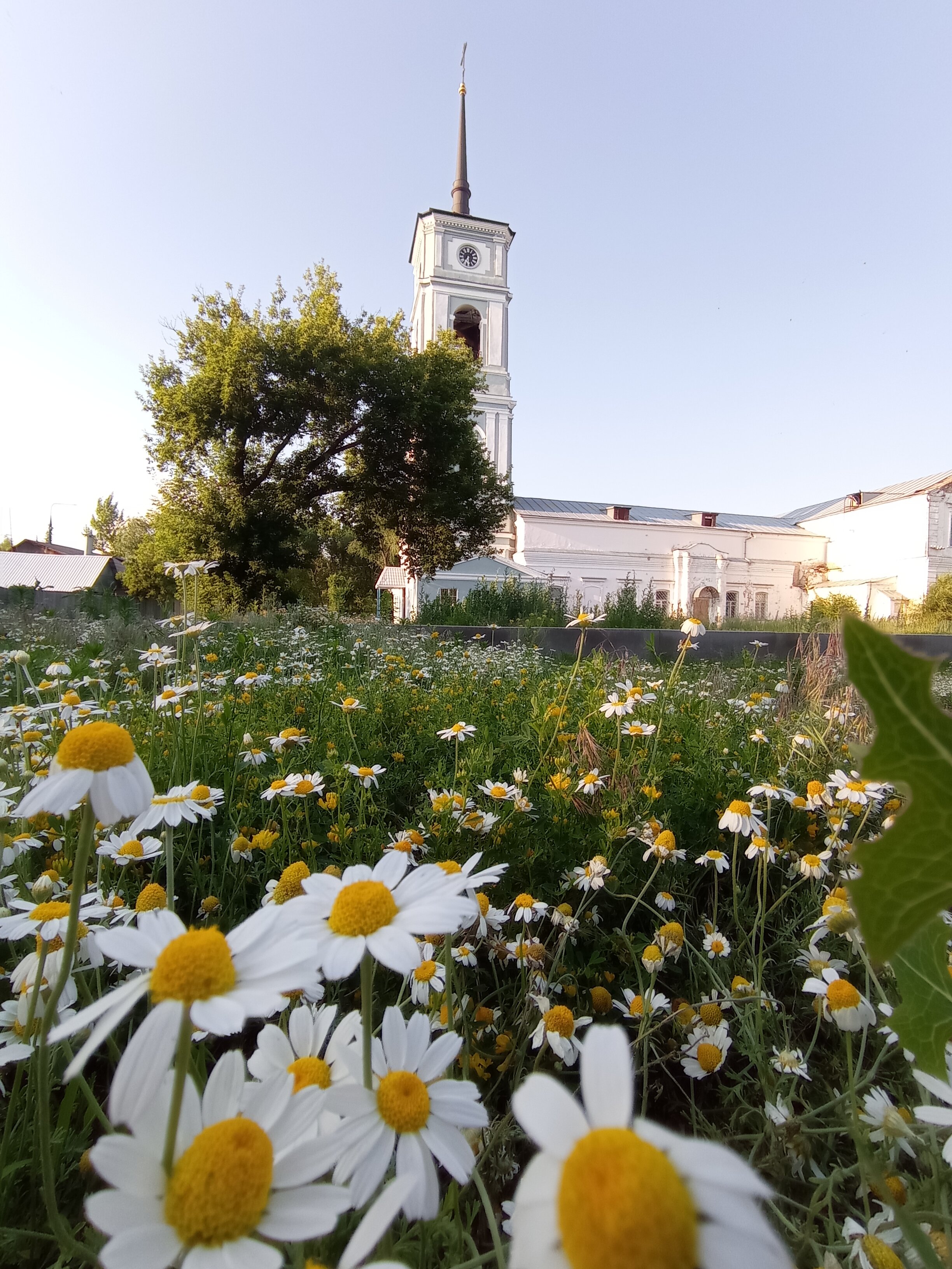 Фото Гостиница Дон