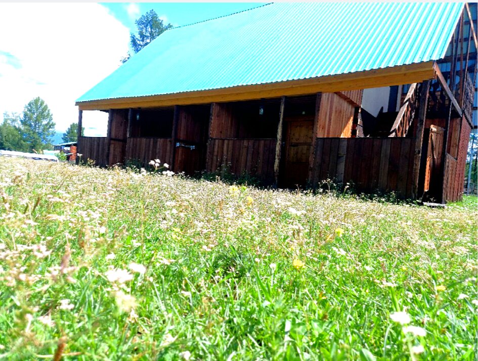 Фото Сказка