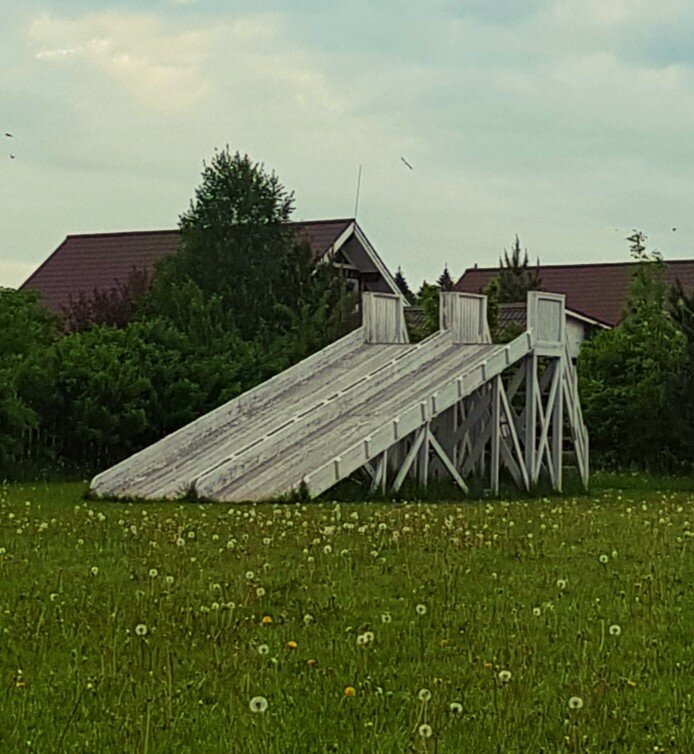 Фото Boroviki Villa