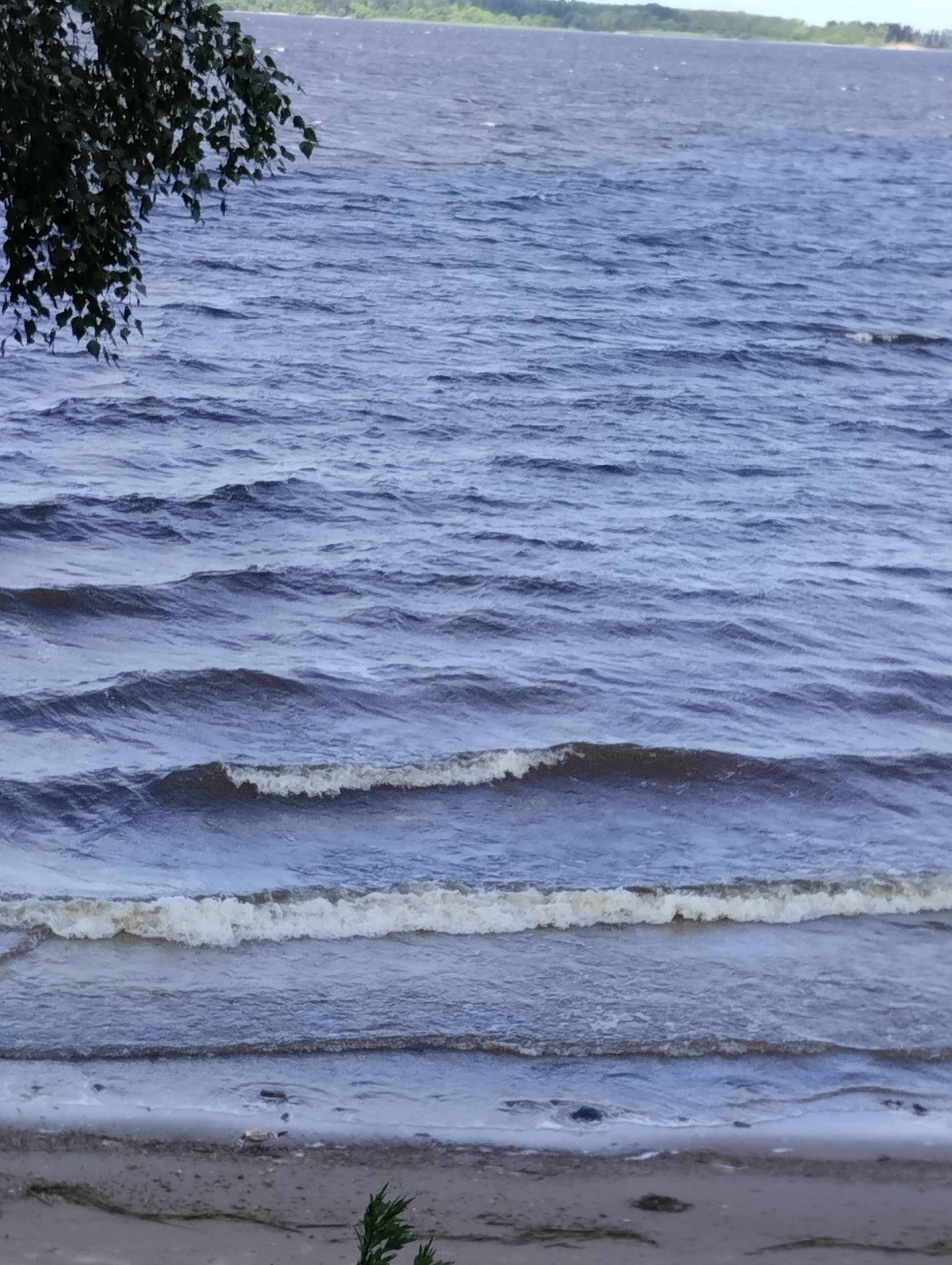 Фото Мини-отель Легково