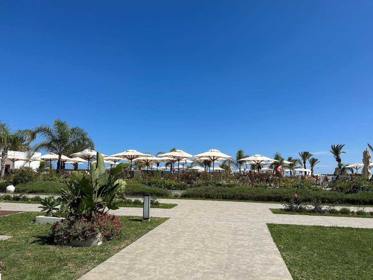 Фото The Orangers Garden