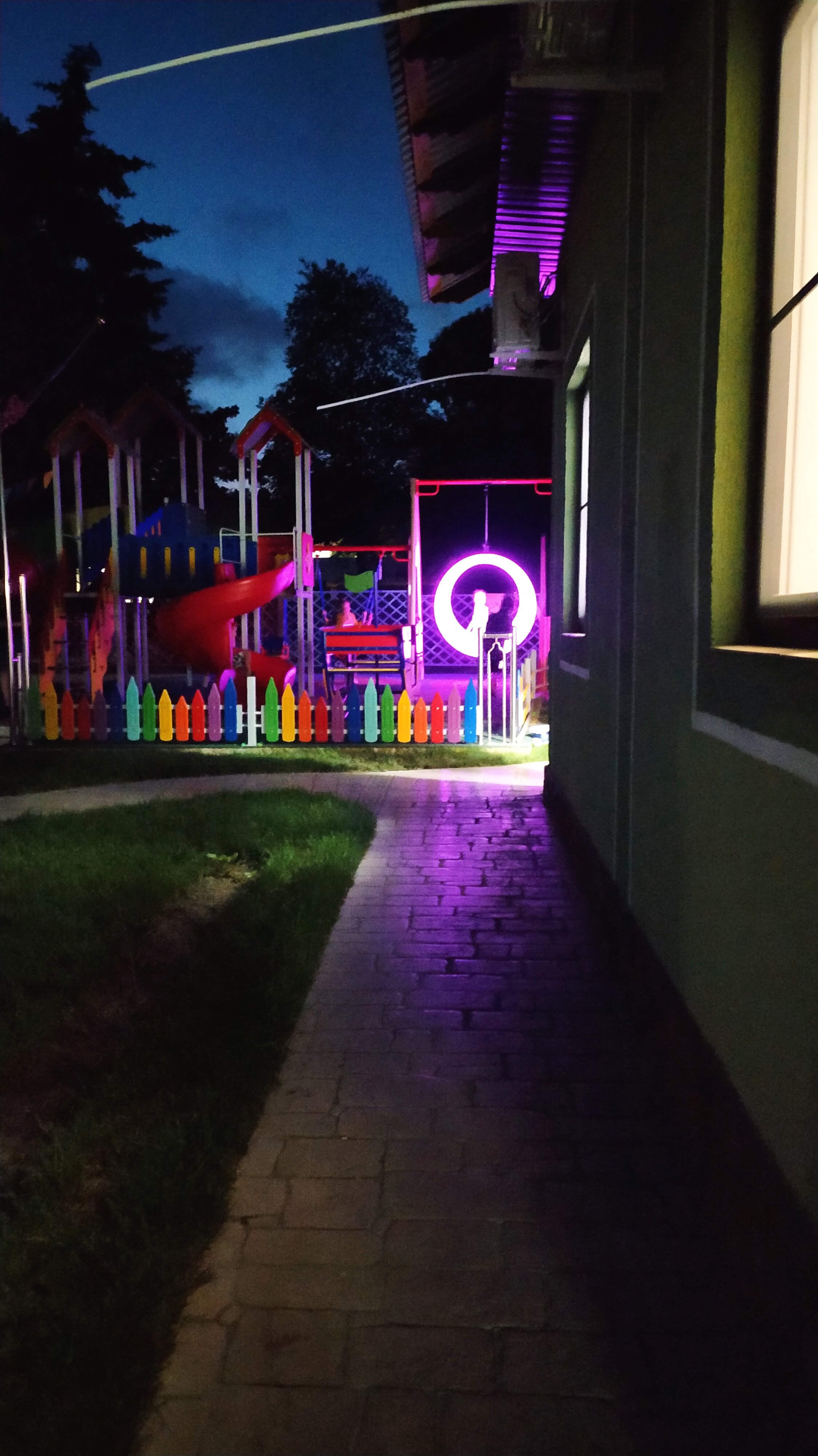 Фото Ромашка