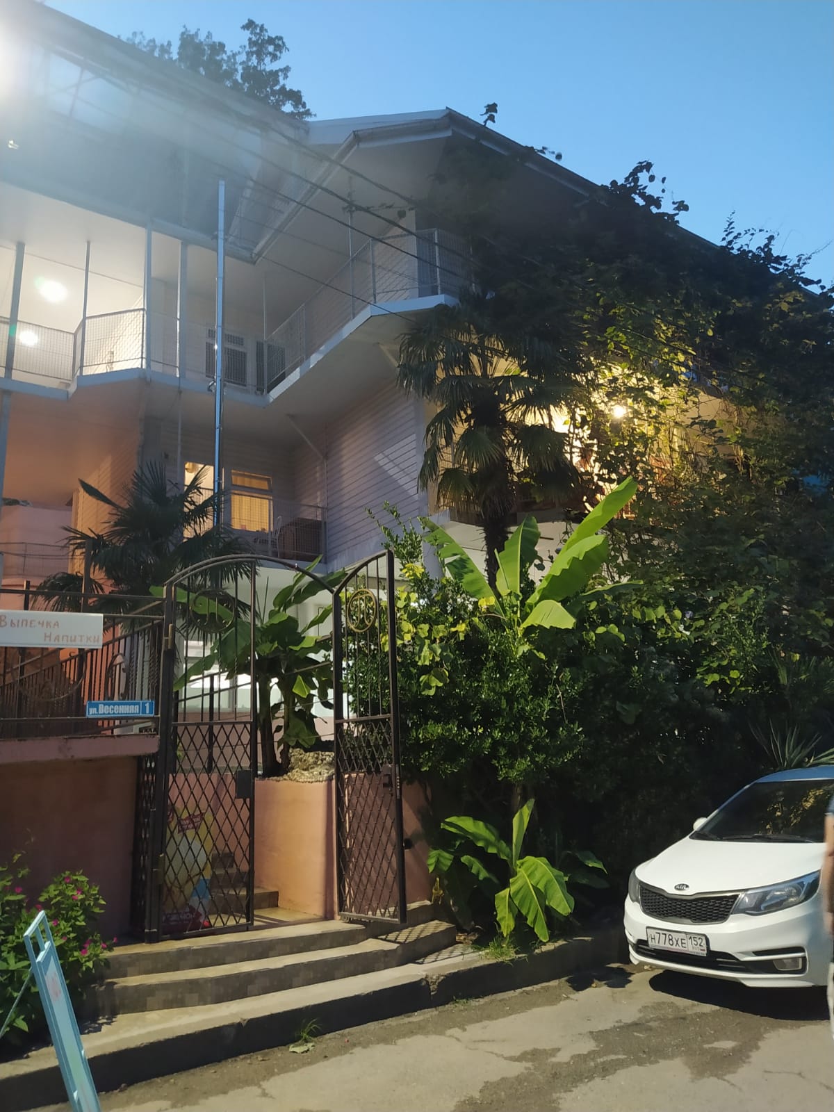 Фото Пальма