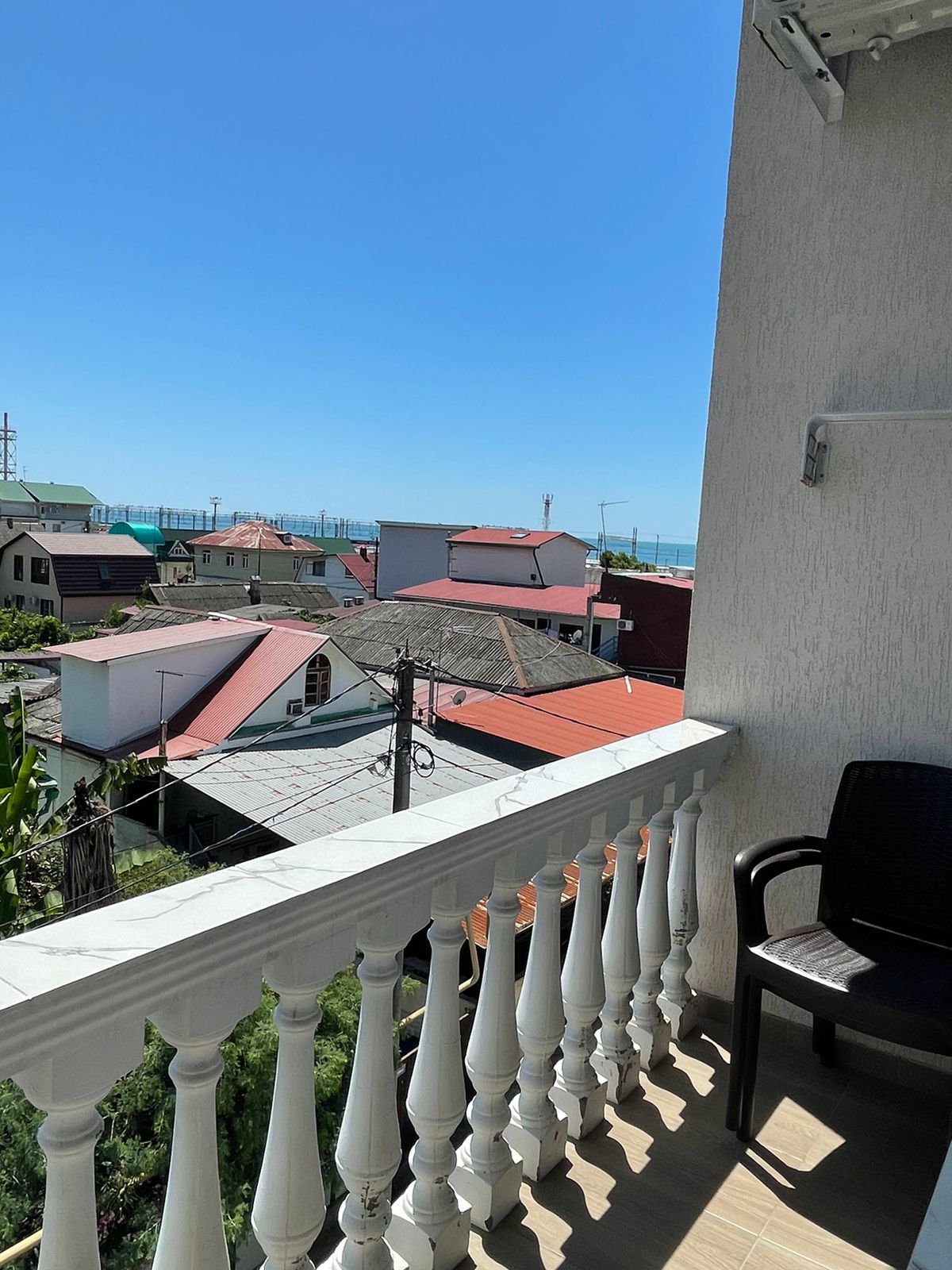 Фото Зелёный попугай