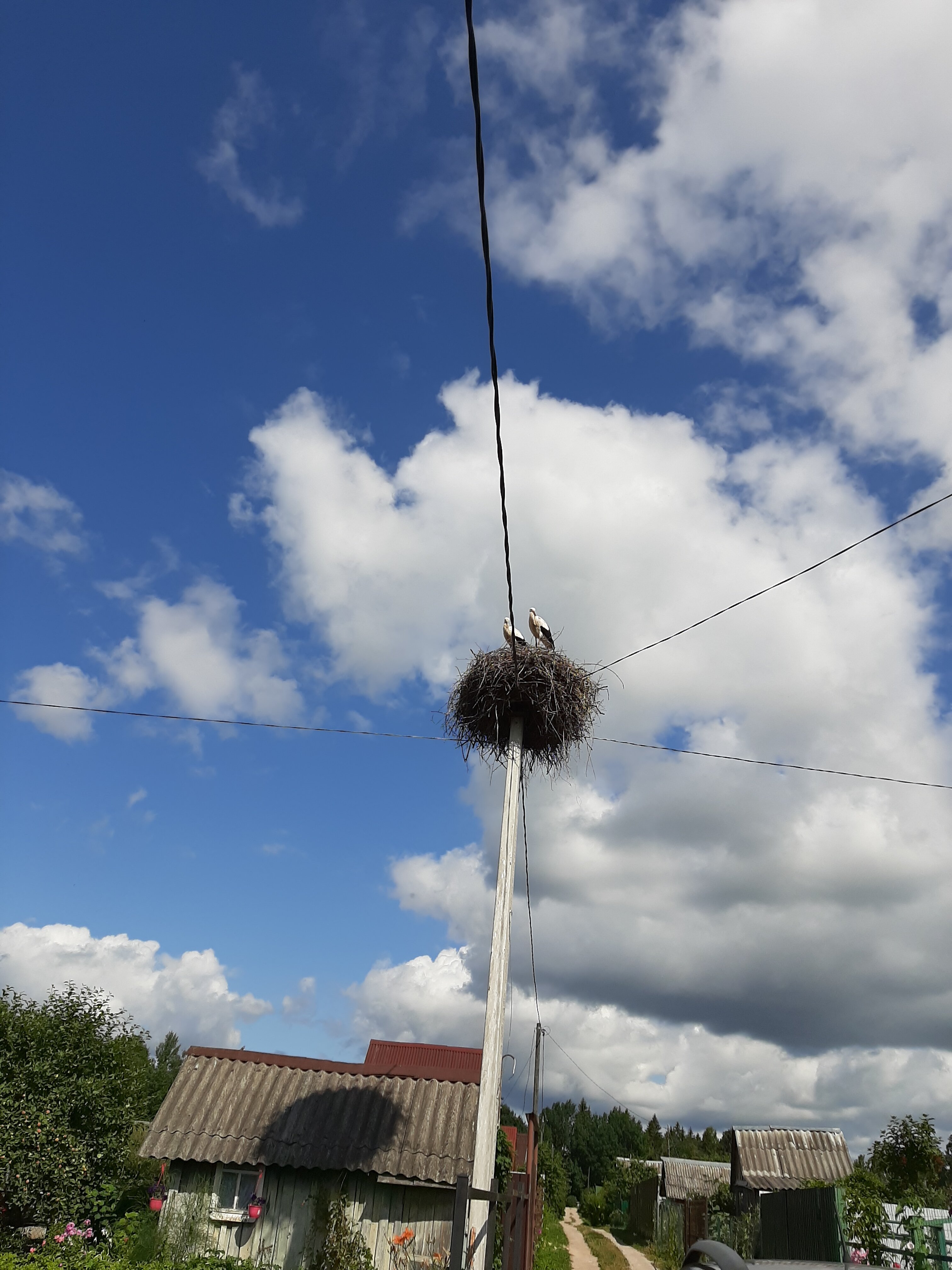 Фото Тихий уголок