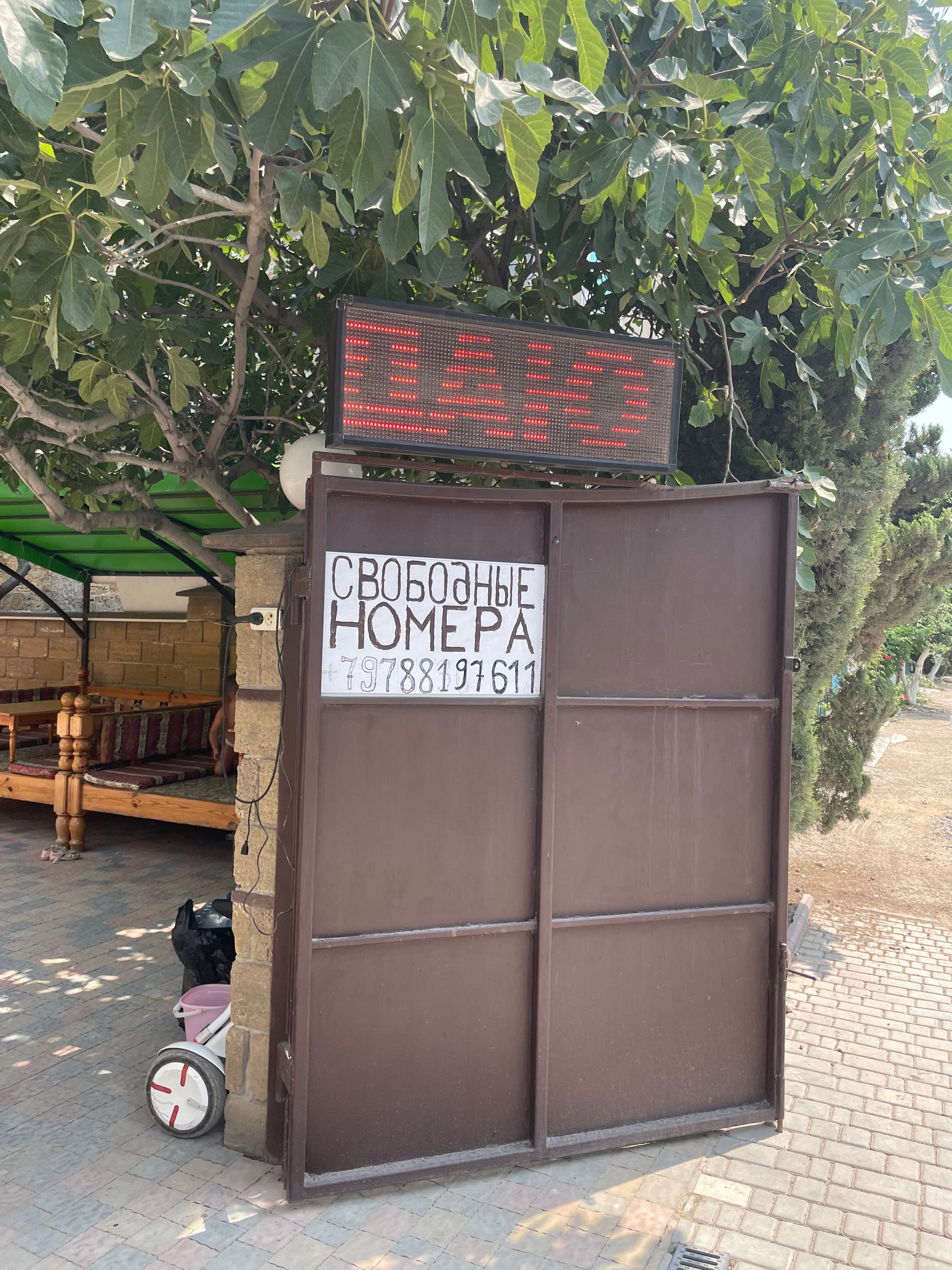 Фото Кипарис