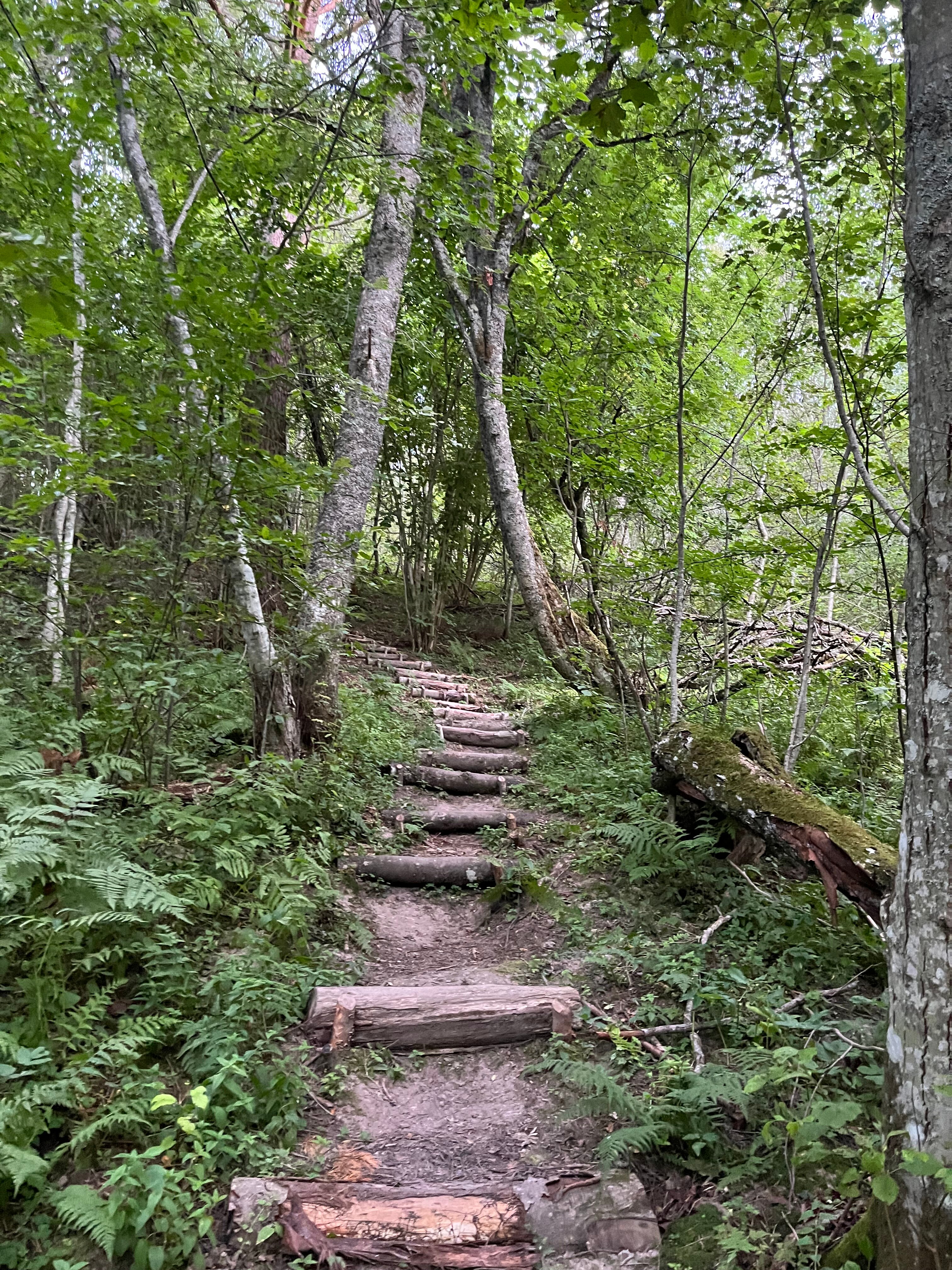 Фото Вохотка