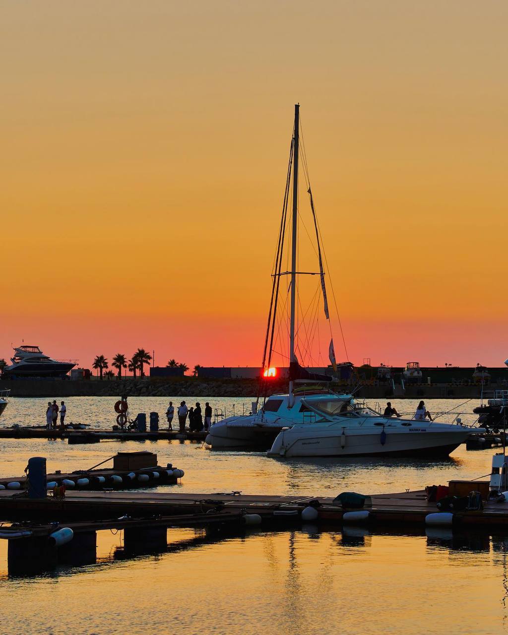 Фото СочиПосуточно