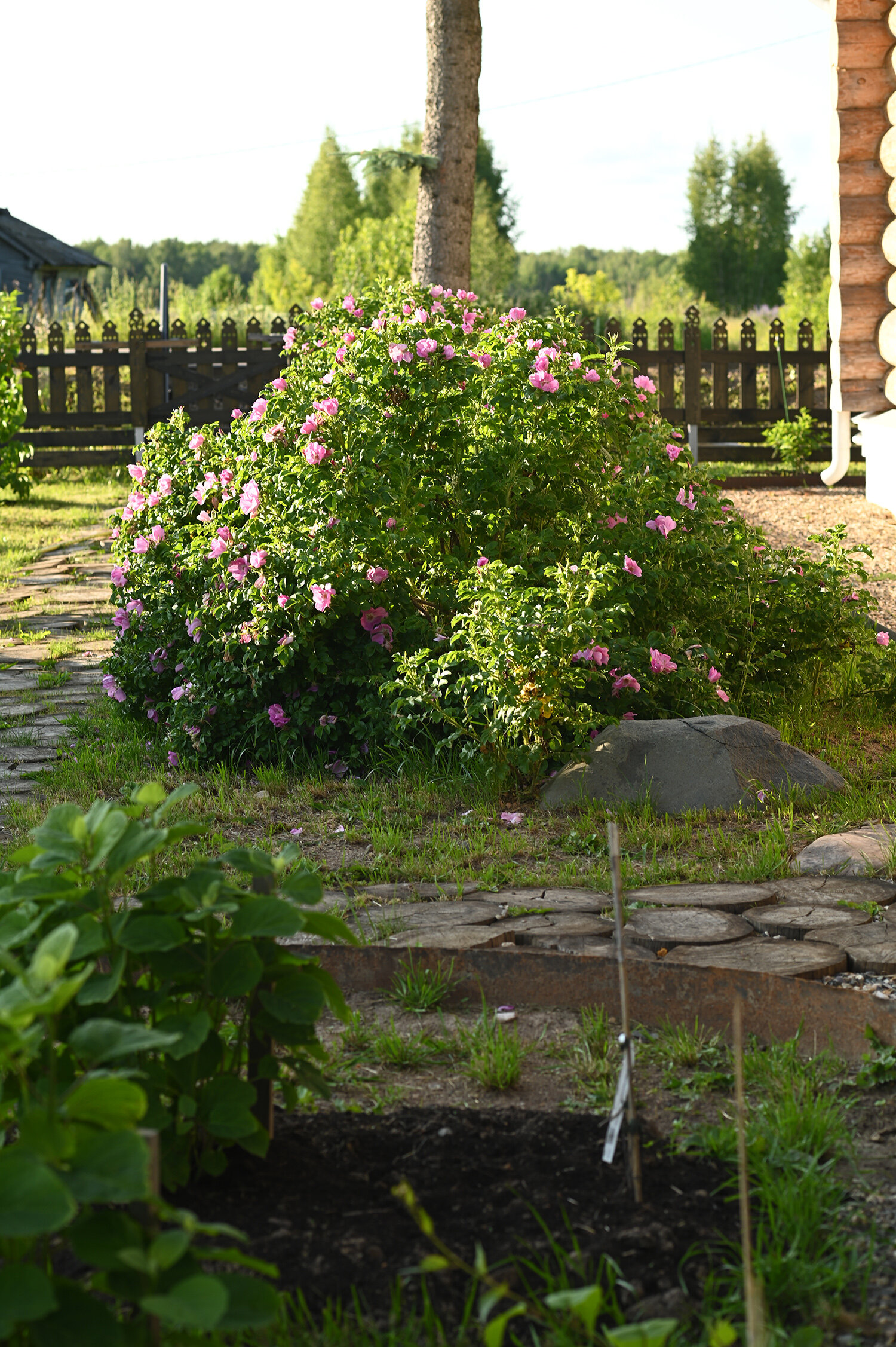 Фото Изба де Шарм