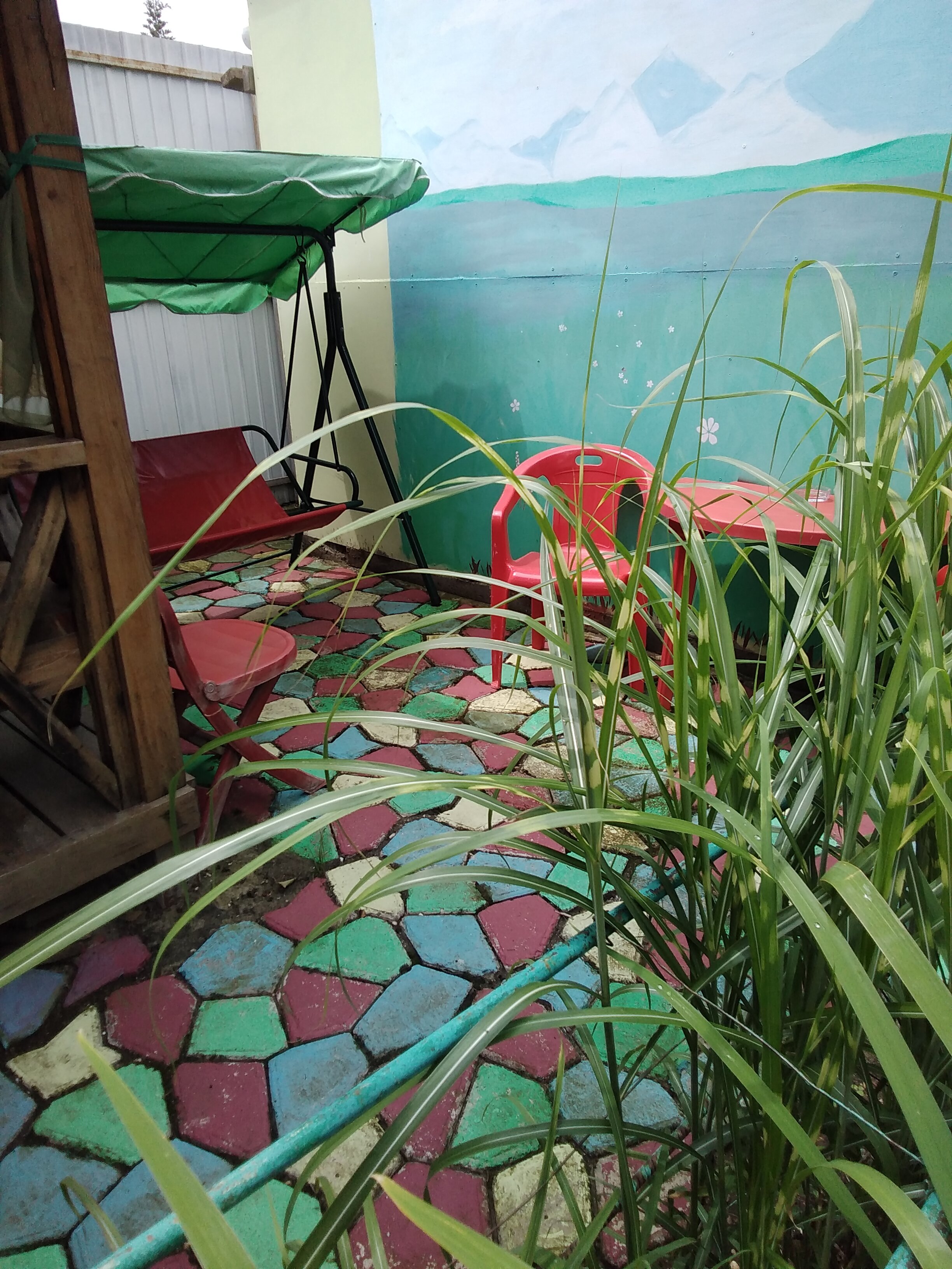 Фото Зелёный дворик