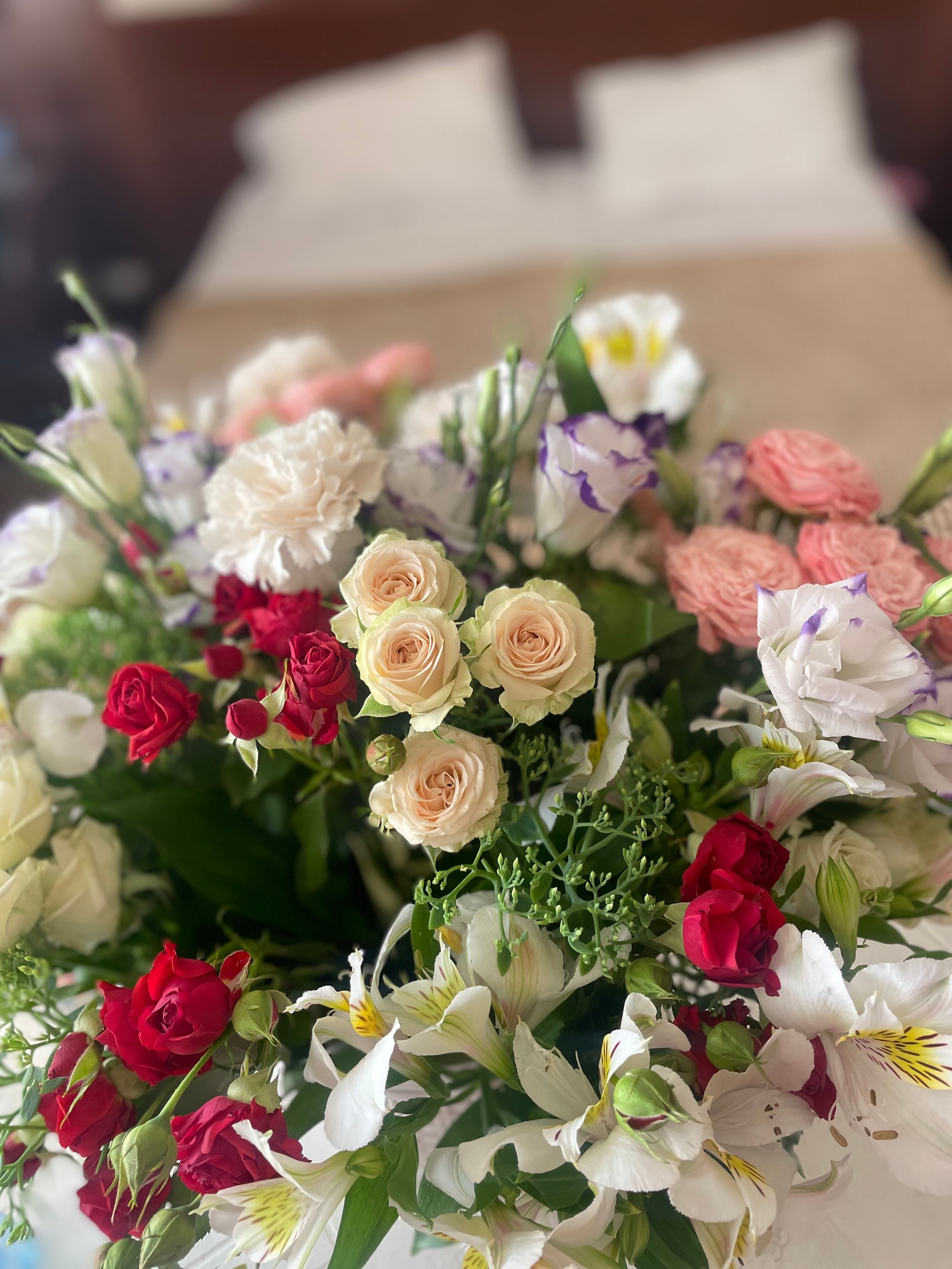 Фото Грин Хаус