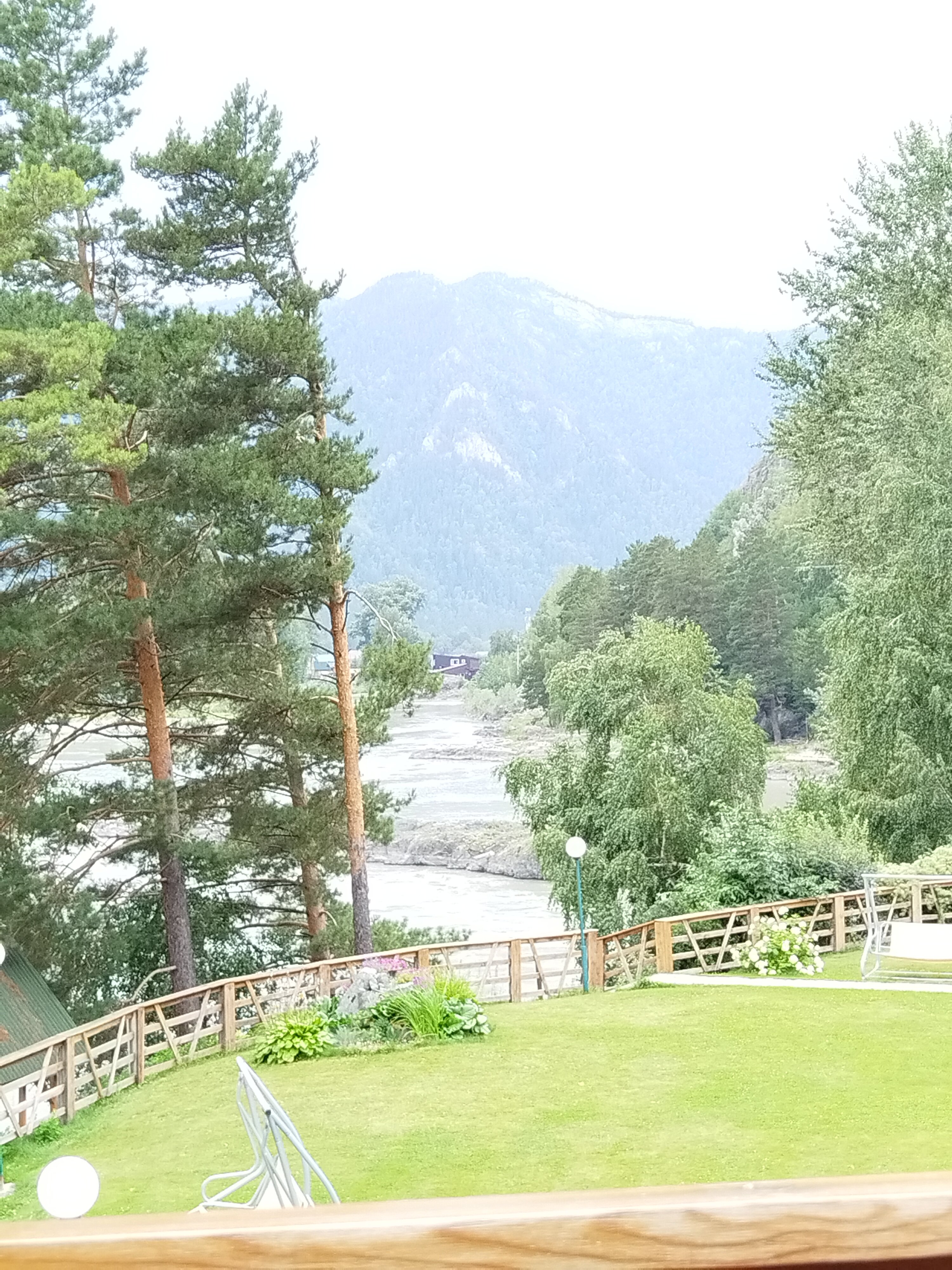 Фото Альбатрос