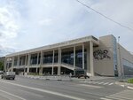 Vladimir Vysotsky Sports Palace (Molodogvardeyskaya Street, 222), ice rink