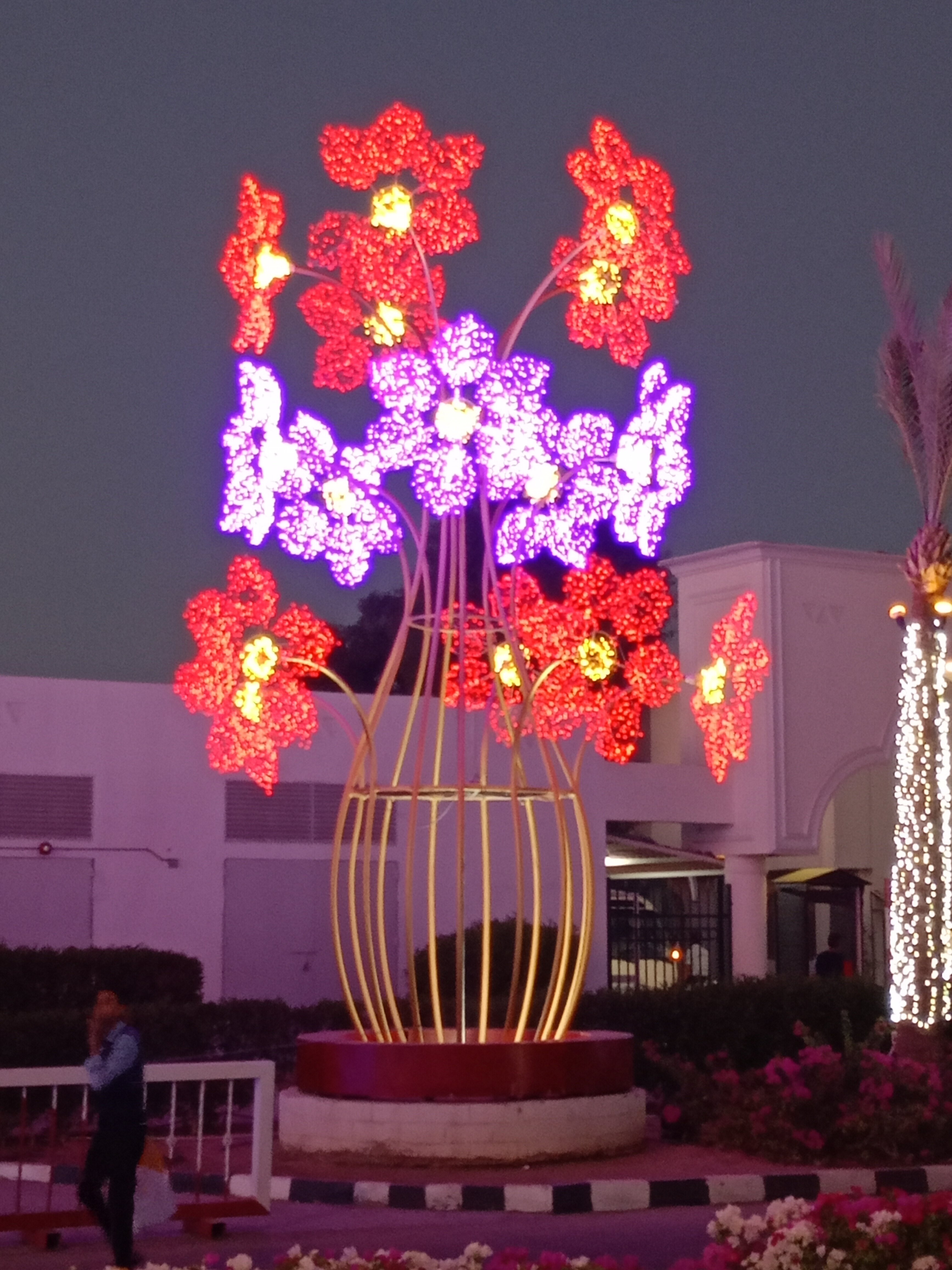 Фото Sunrise Remal Beach Resort