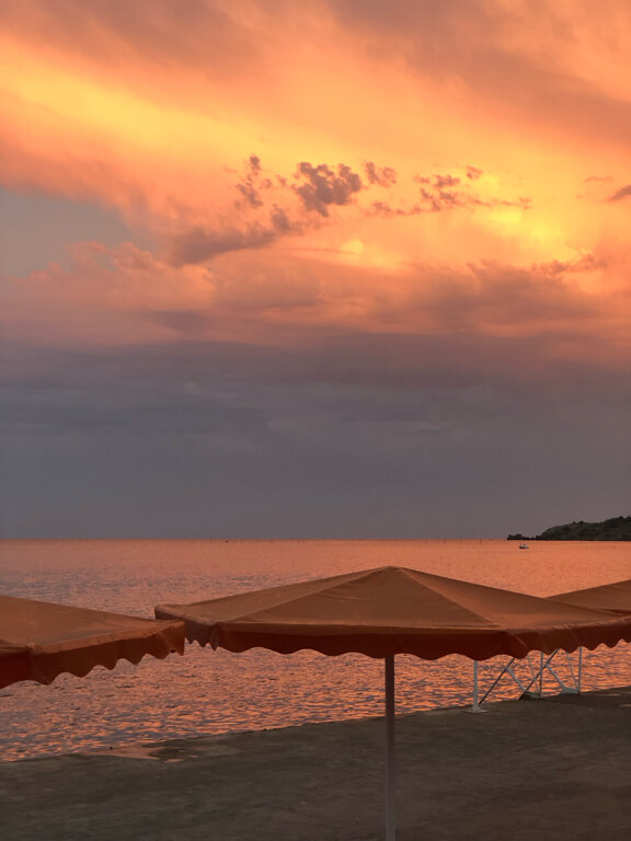 Фото Фламинго